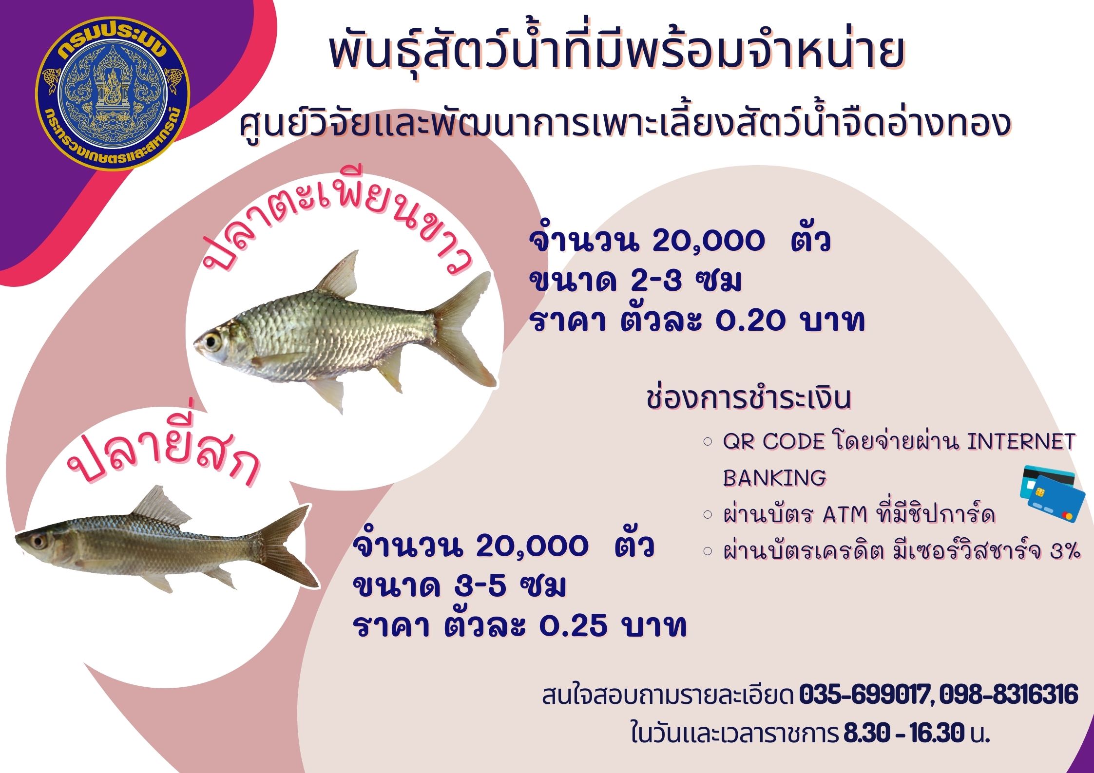 พันธุ์สัตว์น้ำที่มีพร้อมจำหน่าย..คลิก