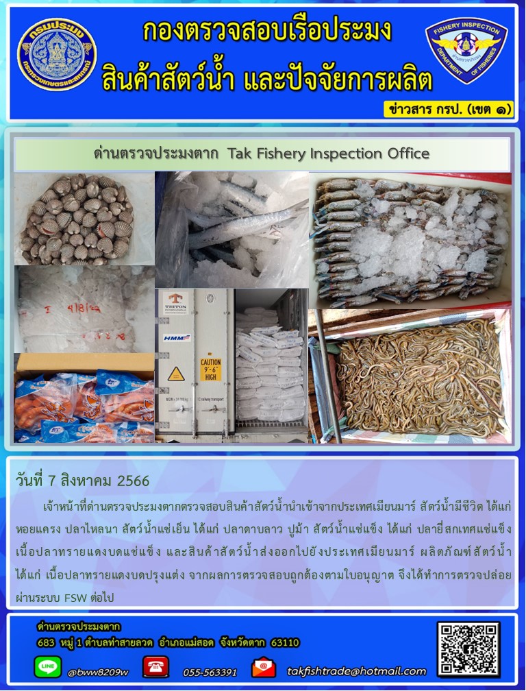 วันที่ 7 สิงหาคม 2566           เจ้าหน้าที่ด่านตรวจประมงตากตรวจสอบสินค้าสัตว์น้ำนำเข้าจากประเทศเมียนมาร์ สัตว์น้ำมีชีวิต ได้แก่ หอยแครง ปลาไหลนา สัตว์น้ำแช่เย็น ได้แก่ ปลาดาบลาว ปูม้า สัตว์น้ำแช่แข็ง ได้แก่ ปลายี่สกเทศแช่แข็ง เนื้อปลาทรายแดงบดแช่แข็ง และสินค้าสัตว์น้ำส่งออกไปยังประเทศเมียนมาร์ ผลิตภัณฑ์สัตว์น้ำ ได้แก่ เนื้อปลาทรายแดงบดปรุงแต่ง จากผลการตรวจสอบถูกต้องตามใบอนุญาต จึงได้ทำการตรวจปล่อยผ่านระบบ FSW ต่อไป..คลิก