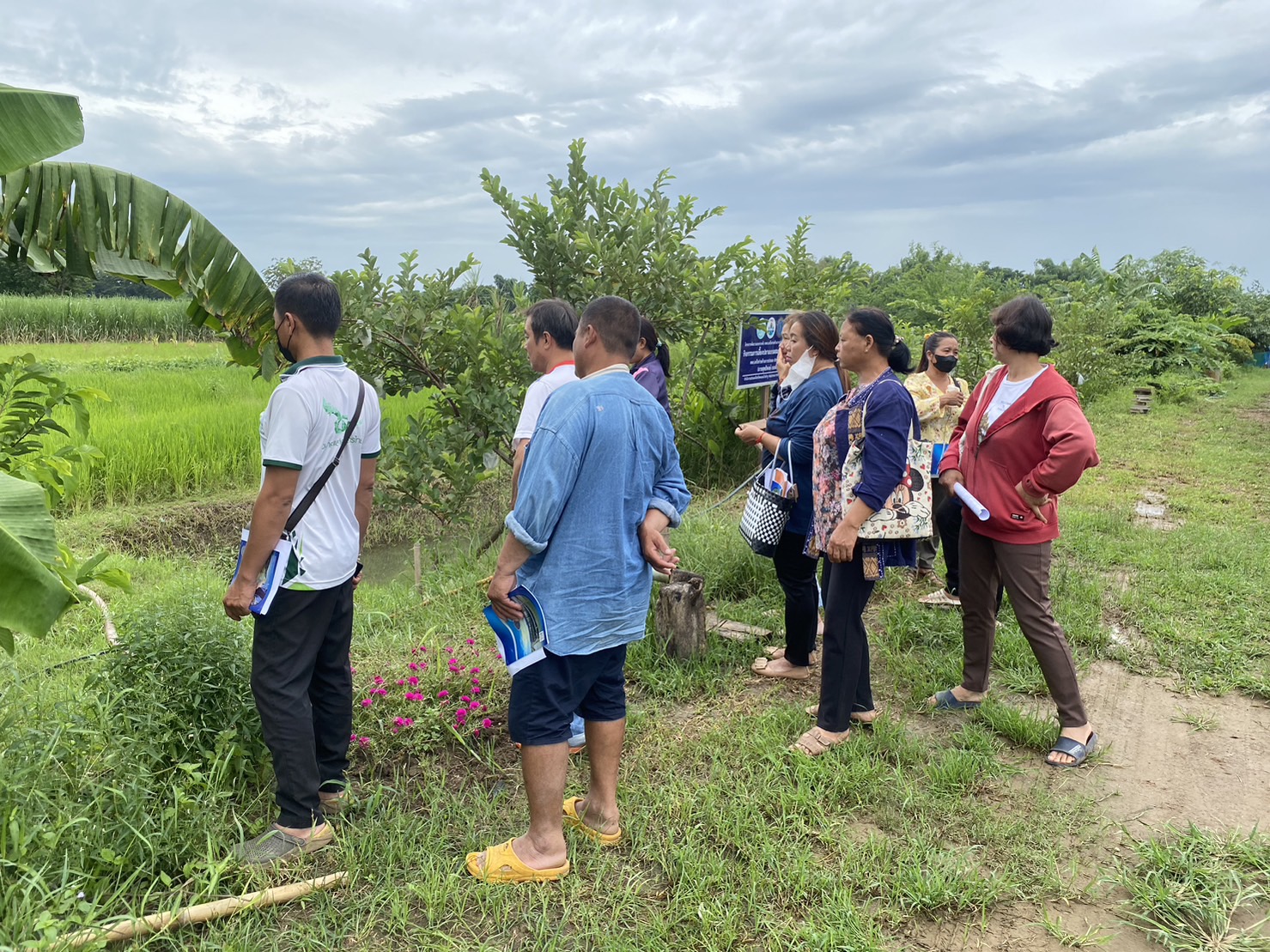 วันที่ 7 สิงหาคม 2566  นายเมธา ตาลเหล็ก ประมงอำเภอนากลาง พร้อมด้วยนายไพศาล ศรีคูณ นักวิชาการประมง จัดกิจกรรมถ่ายทอดเทคโนโลยีด้านการประมง และมอบปัจจัยการผลิต แก่เกษตรกรที่เข้าร่วมกิจกรรมฯ จำนวน 30 ราย ในพื้นที่อำเภอนาวัง ภายใต้โครงการศูนย์เรียนรู้การเพิ่มประสิทธิภายการผลิตสินค้าเกษตร ประจำปีงบประมาณ 2566