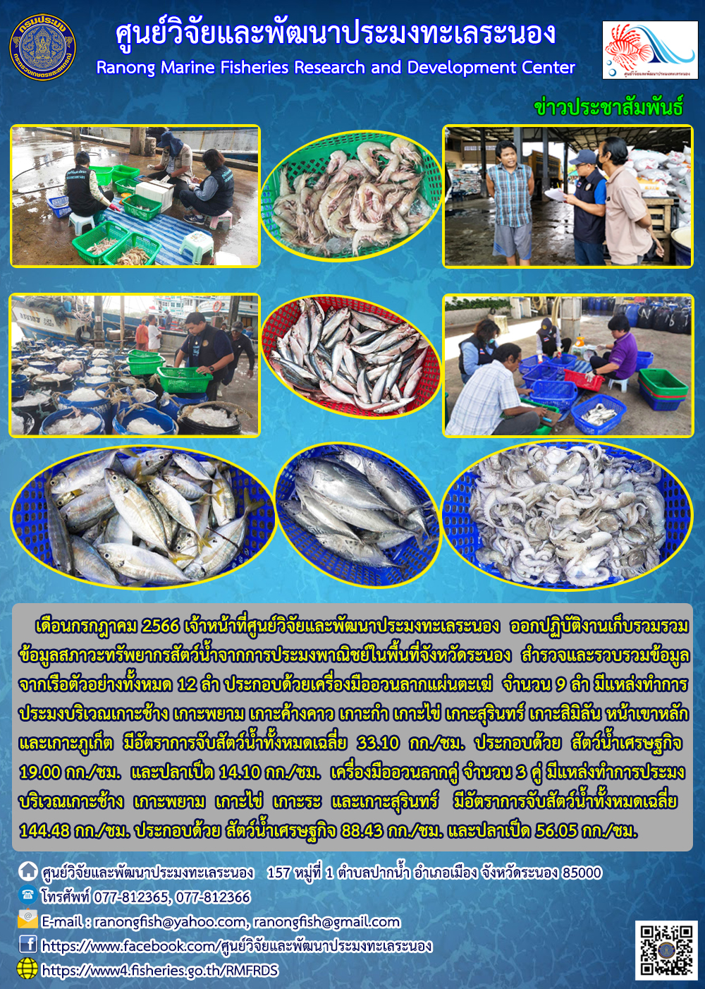 เดือนกรกฎาคม 2566 เจ้าหน้าที่ศูนย์วิจัยและพัฒนาประมงทะเลระนอง ออกปฏิบัติงานเก็บรวบรวมข้อมูลสภาวะทรัพยากรสัตว์น้ำจากการประมงพาณิชย์ในพื้นที่จังหวัดระนอง สำรวจและรวบรวมข้อมูล จากเรือตัวอย่างทั้งหมด 12 ลำ ประกอบด้วย เครื่องมืออวนลากแผ่นตะเฆ่ จำนวน 9 ลำ มีแหล่งทำการประมงบริเวณเกาะช้าง เกาะพยาม เกาะค้างคาว เกาะกำ เกาะไข่ เกาะสุรินทร์ เกาะสิมิลัน หน้าเขาหลัก และเกาะภูเก็ต มีอัตราการจับสัตว์น้ำทั้งหมดเฉลี่ย 33.10 กก./ชม. ประกอบด้วย สัตว์น้ำเศรษฐกิจ 19.00 กก./ชม และปลาเป็ด 14.10 กก./ชม. เครื่องมืออวนลากคู่ จำนวน 3 คู่ มีแหล่งทำการประมงบริเวณเกาะช้าง เกาะพยาม เกาะไข่ เกาะระ และเกาะสุรินทร์ มีอัตราการจับสัตว์น้ำทั้งหมดเฉลี่ย 144.48 กก./ชม. ประกอบด้วย สัตว์น้ำเศรษฐกิจ 88.43 กก./ซม. และปลาเป็ด 56.05 กก./ซม...คลิก
