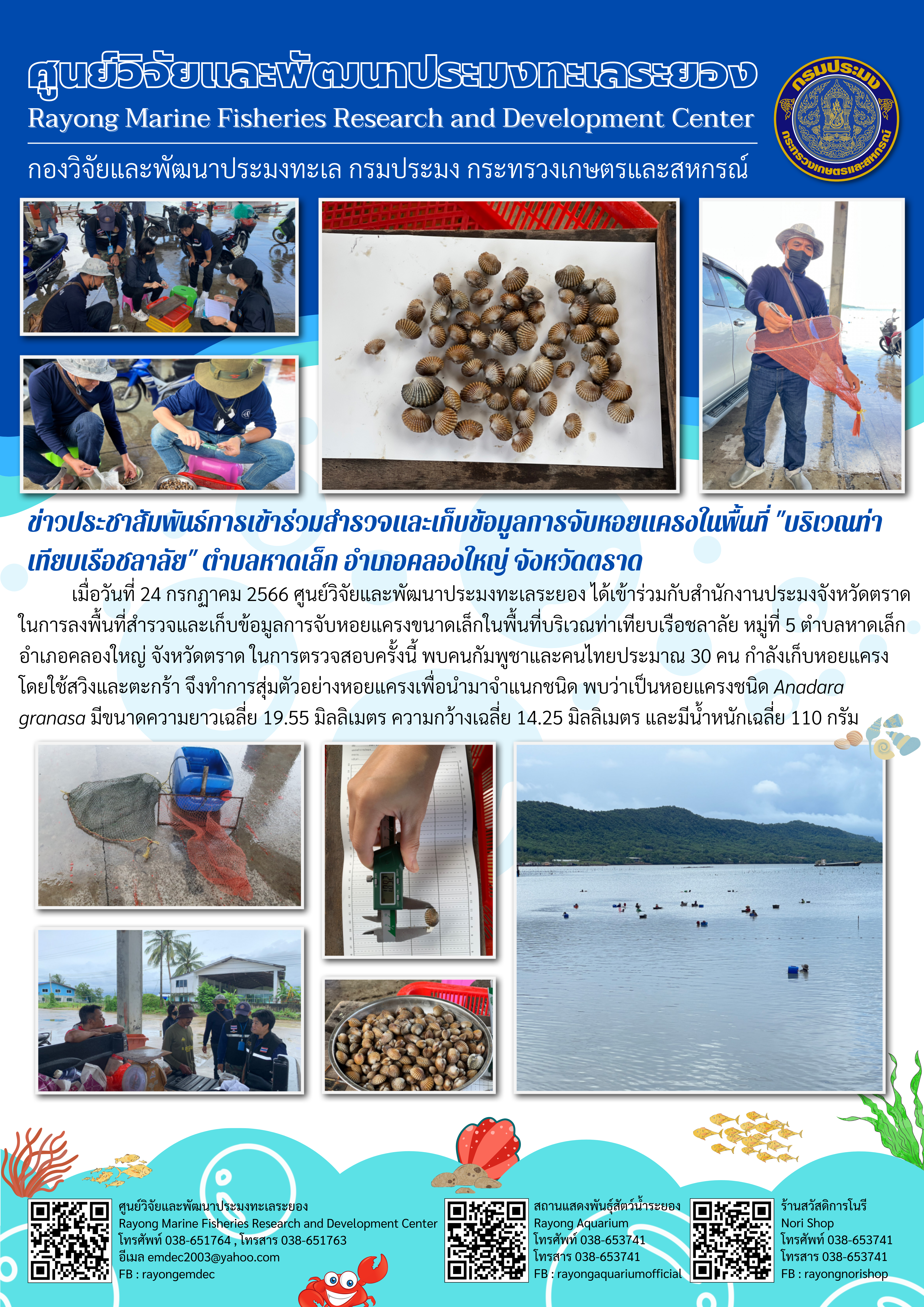 การสำรวจและเก็บข้อมูลการจับหอยแครงในพื้นที่บริเวณท่าเทียบเรือชลาลัย จังหวัดตราด