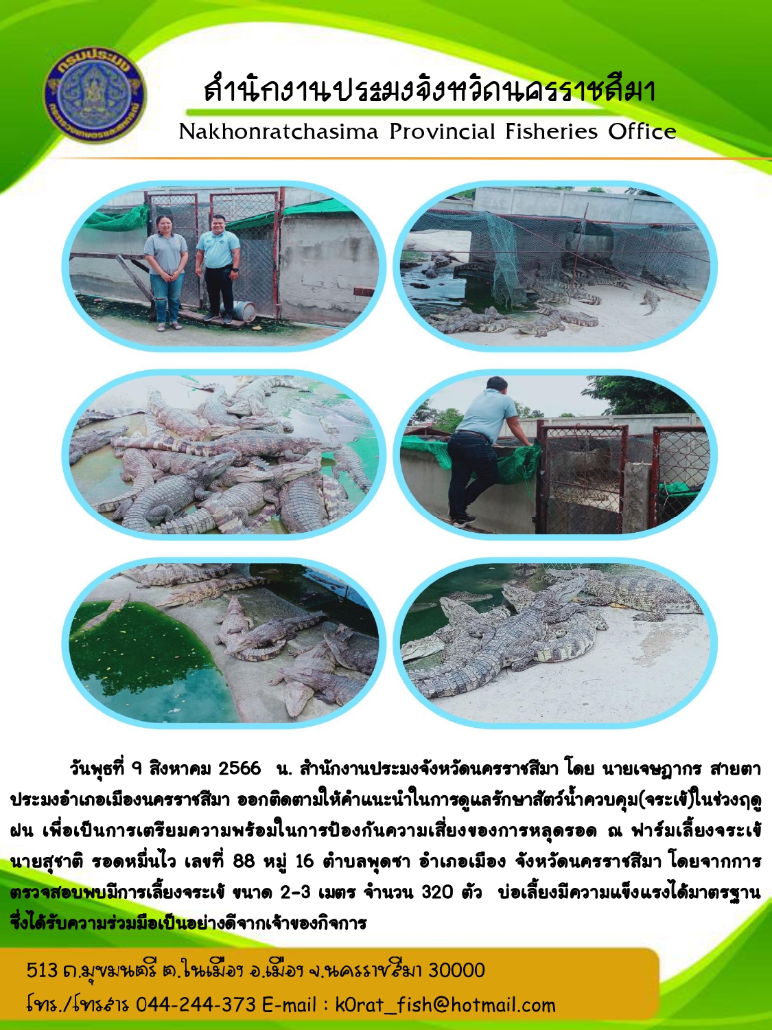 ประมงอำเภอเมืองนครราชสีมาออกติดตามให้คำแนะนำการดูแลรักษาสัตว์น้ำควบคุม (จระเข้) ในช่วงฤดูฝน เพื่อเตรียมความพร้อมในการป้องกันความเสี่ยงจากการหลุดรอดของจระเข้..คลิก