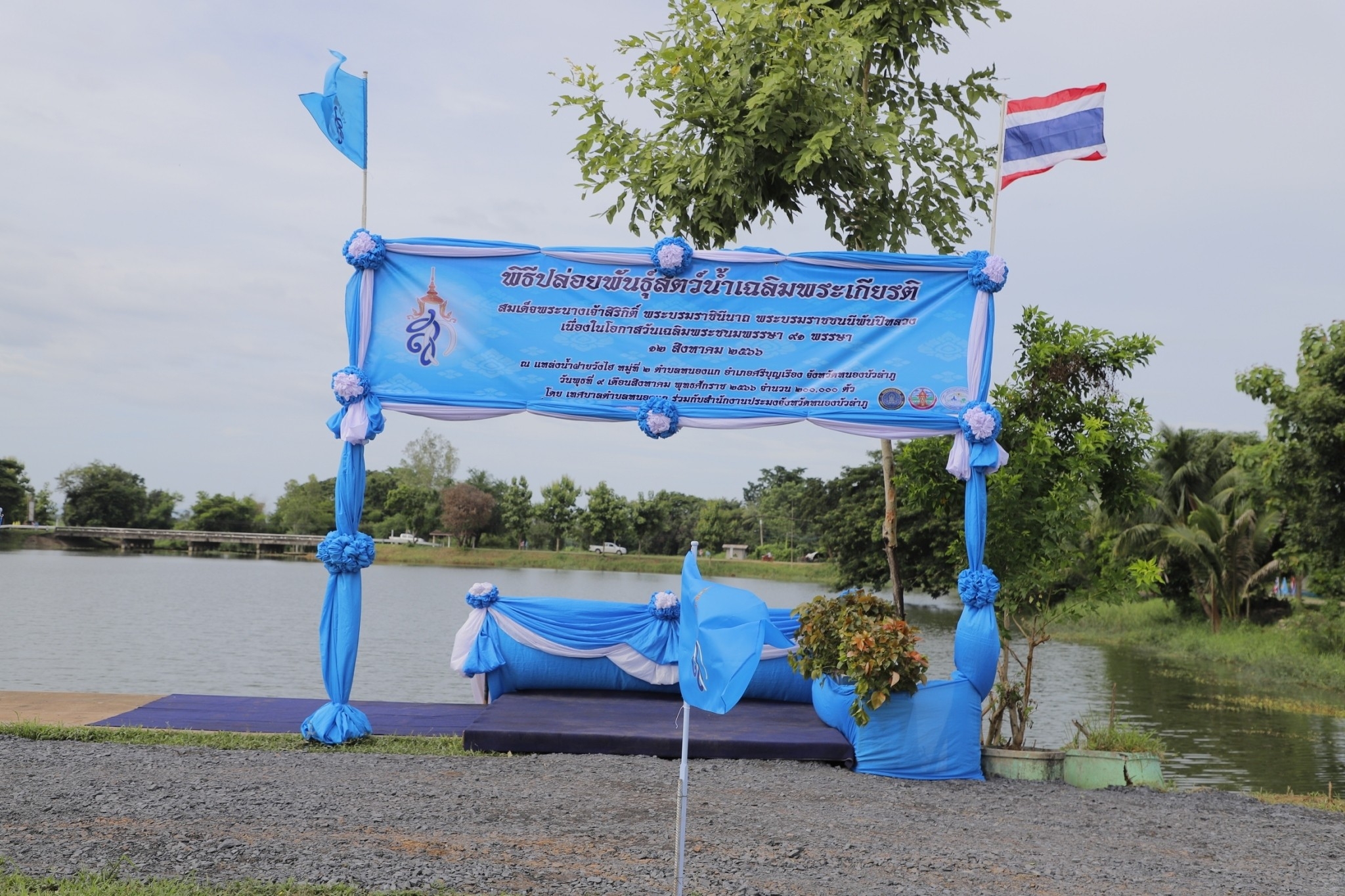 วันที่ 9 สิงหาคม พ.ศ. 2566  สำนักงานประมงจังหวัดหนองบัวลำภู ร่วมกับทศบาลตำบลหนองแก จัดพิธีปล่อยพันธุ์สัตว์น้ำเฉลิมพระเกียรติสมเด็จพระนางเจ้าสิริกิติ์ พระบรมราชินีนาถ พระบรมราชชนนีพันปีหลวง เนื่องในโอกาสมหามงคลเฉลิมพระชนมพรรษา 91 พรรษา ณ แหล่งน้ำฝายวังไฮ หมู่ที่ 2 ตำบลหนองแก อำเภอศรีบุญเรือง จังหวัดหนองบัวลำภู..คลิก