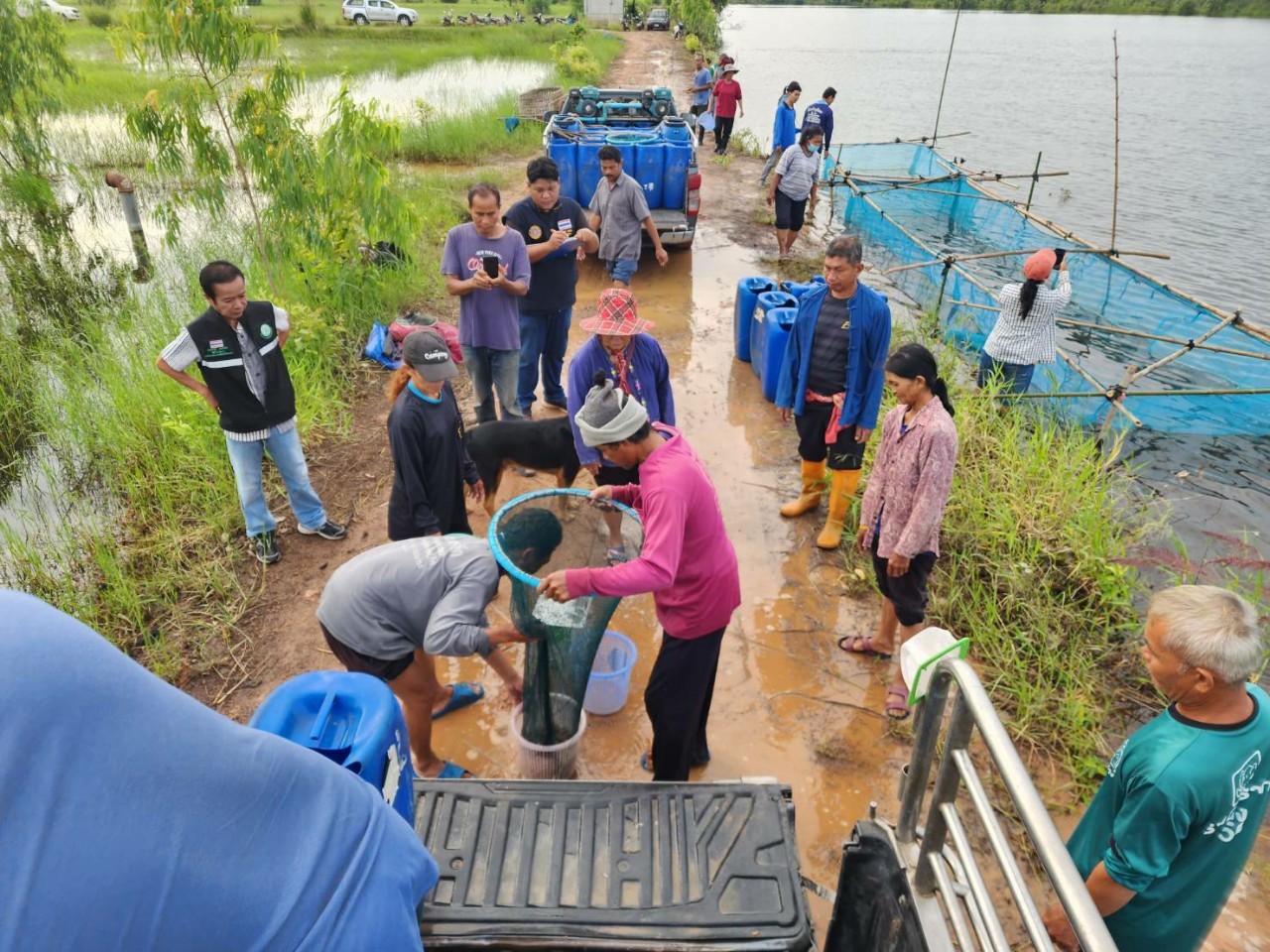 ร่วมปล่อยพันธุ์กุ้งก้ามกราม ขนาดไม่น้อยกว่า ๓ เซนติเมตร  ลงสู่แหล่งน้ำ ตามโครงการเพิ่มผลผลิตสัตว์น้ำเศรษฐกิจที่มีมูลค่าสูงเพื่อสร้างรายได้ ภายใต้โครงการบริหารจัดการทรัพยากรประมง