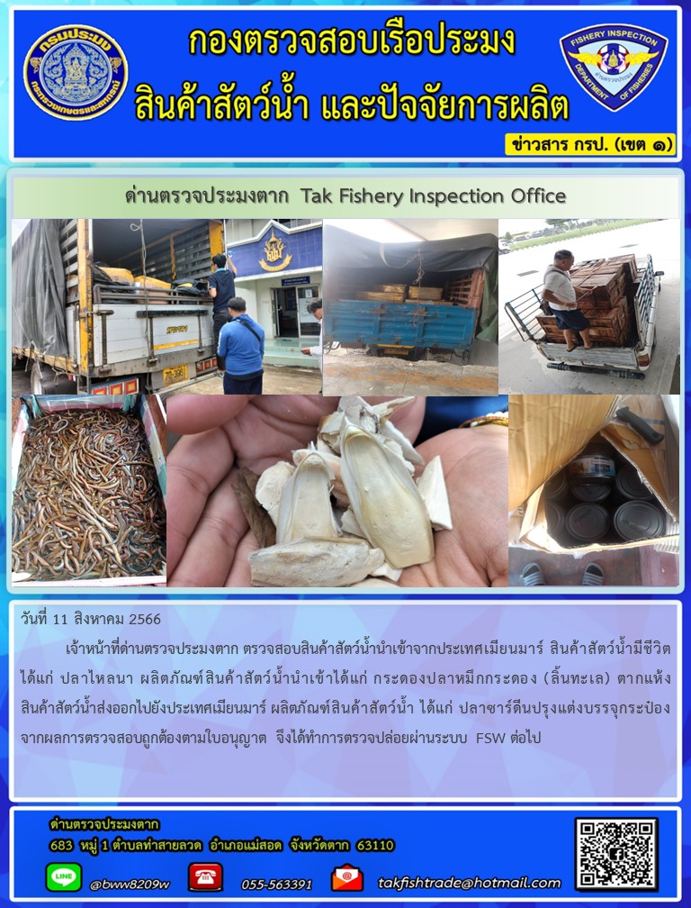 วันที่ 11 สิงหาคม 2566           เจ้าหน้าที่ด่านตรวจประมงตาก ตรวจสอบสินค้าสัตว์น้ำนำเข้าจากประเทศเมียนมาร์ สินค้าสัตว์น้ำมีชีวิต ได้แก่ ปลาไหลนา ผลิตภัณฑ์สินค้าสัตว์น้ำนำเข้าได้แก่ กระดองปลาหมึกกระดอง (ลิ้นทะเล) ตากแห้ง สินค้าสัตว์น้ำส่งออกไปยังประเทศเมียนมาร์ ผลิตภัณฑ์สินค้าสัตว์น้ำ ได้แก่ ปลาซาร์ดีนปรุงแต่งบรรจุกระป๋อง จากผลการตรวจสอบถูกต้องตามใบอนุญาต จึงได้ทำการตรวจปล่อยผ่านระบบ FSW ต่อไป..คลิก