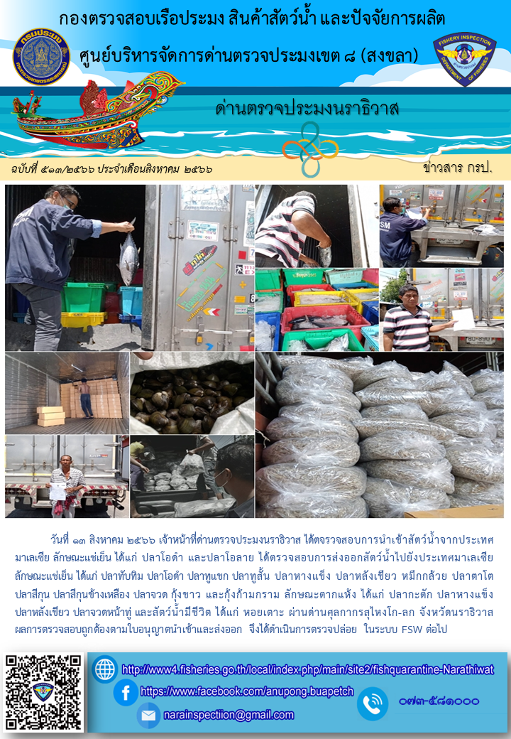 ประชาสัมพันธ์ด่านตรวจประมงนราธิวาส ประจำวันที่ 13 สิงหาคม 2566..คลิก