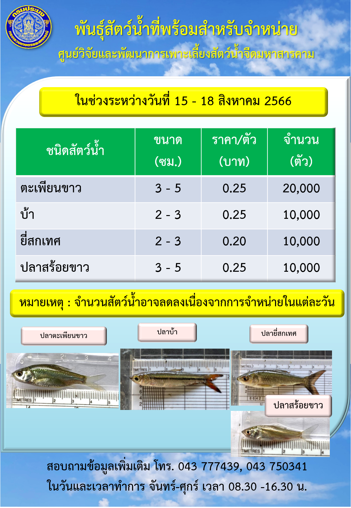 พันธุ์สัตว์น้ำที่พร้อมสำหรับจำหน่าย ระหว่างวันที่ 15 – 18 สิงหาคม 2566..คลิก