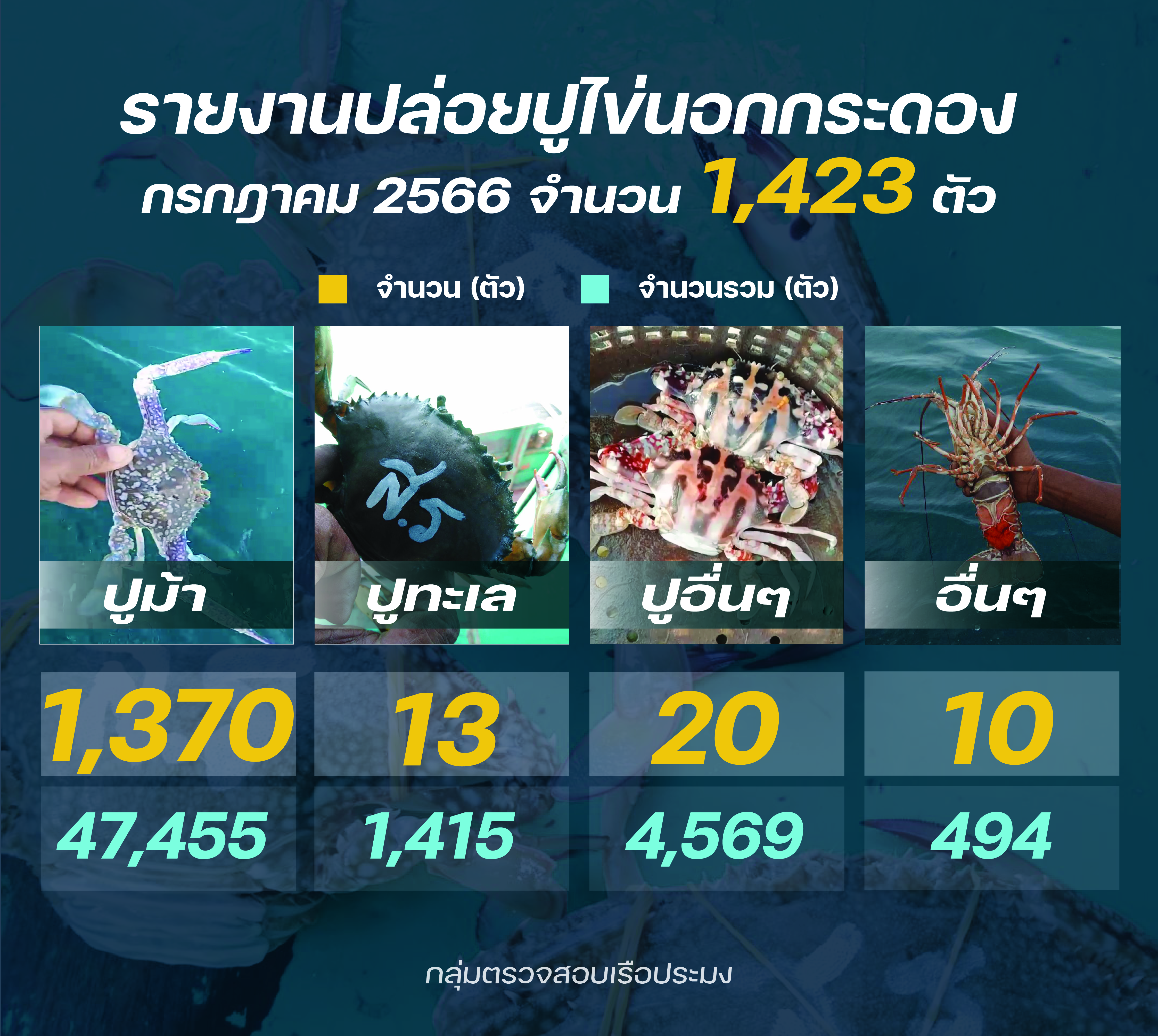 ชาวประมงปล่อยปูไข่ กรกฎาคม 2566..คลิก