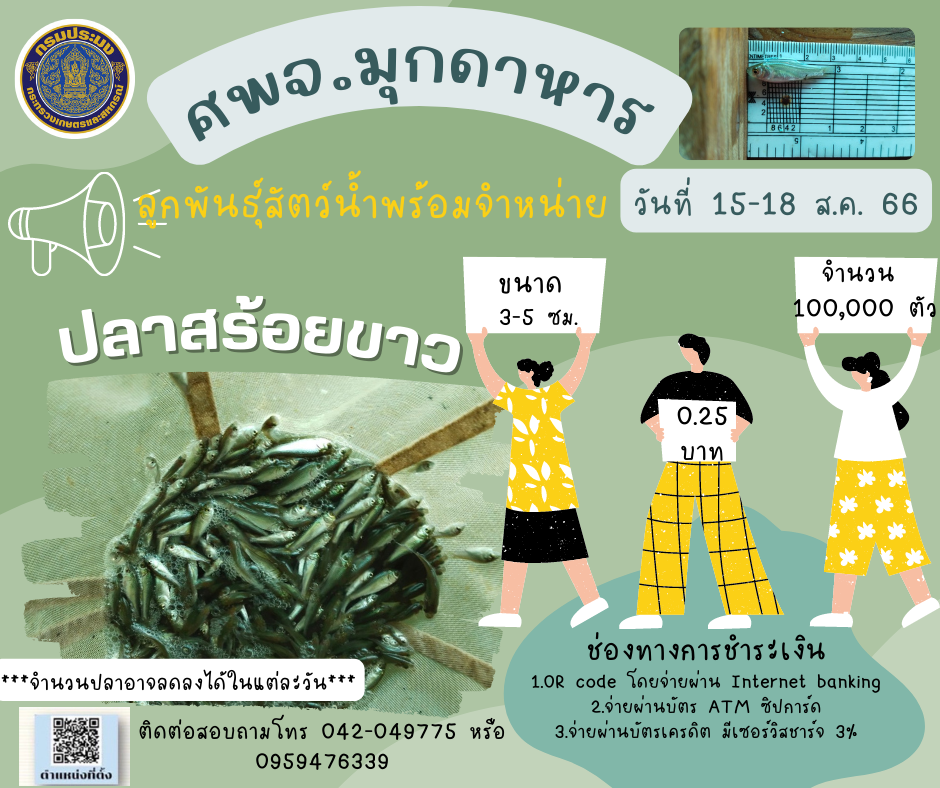 ลูกพันธุ์สัตว์น้ำที่พร้อมจำหน่าย ระหว่างวันที่ 15-18 สิงหาคม 2566..คลิก