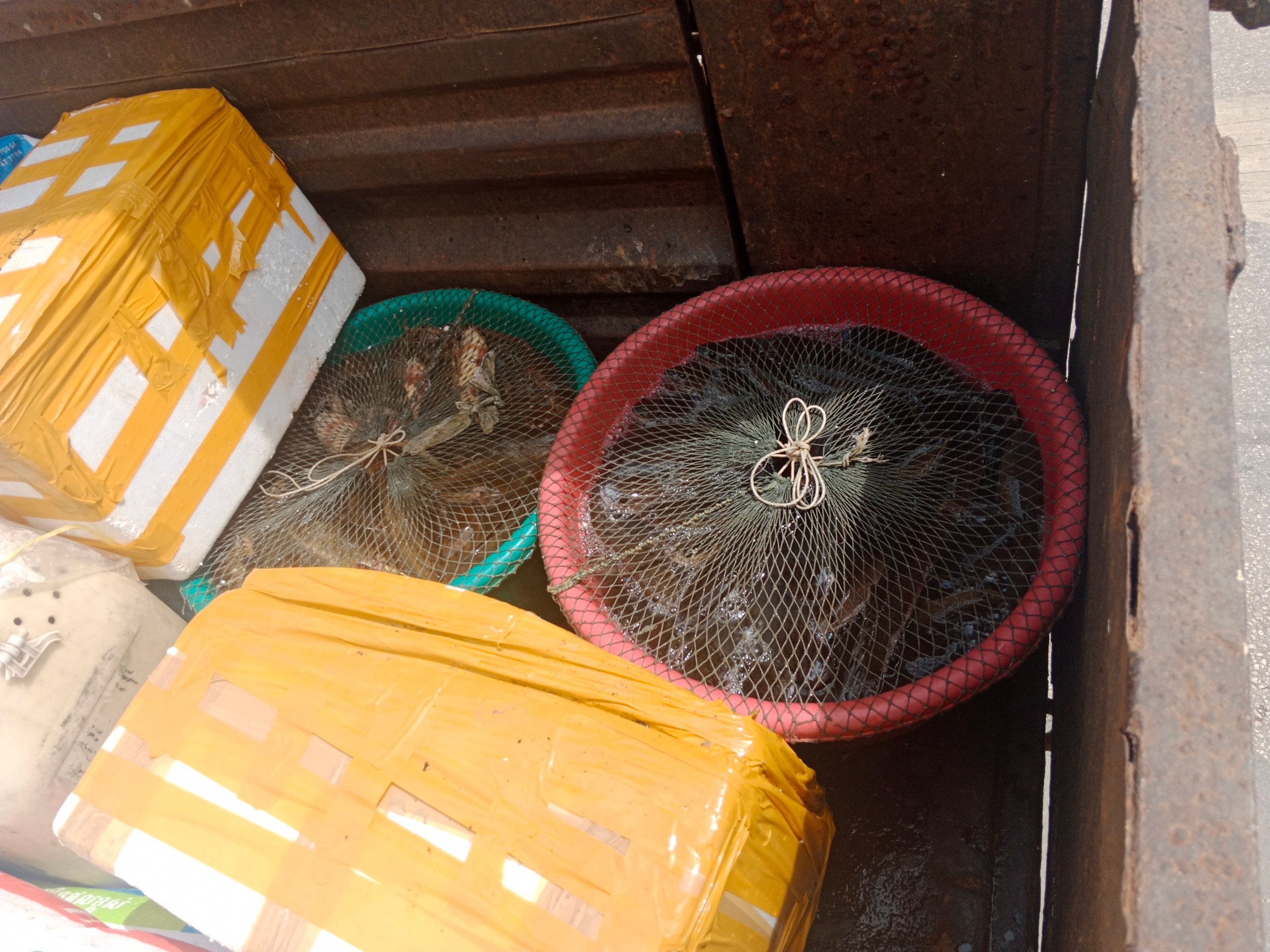 ตรวจสินค้าประมงที่นำเข้า ส่งออก ทางจุดผ่านแดนถาวรบ้านคลองลึก..คลิก