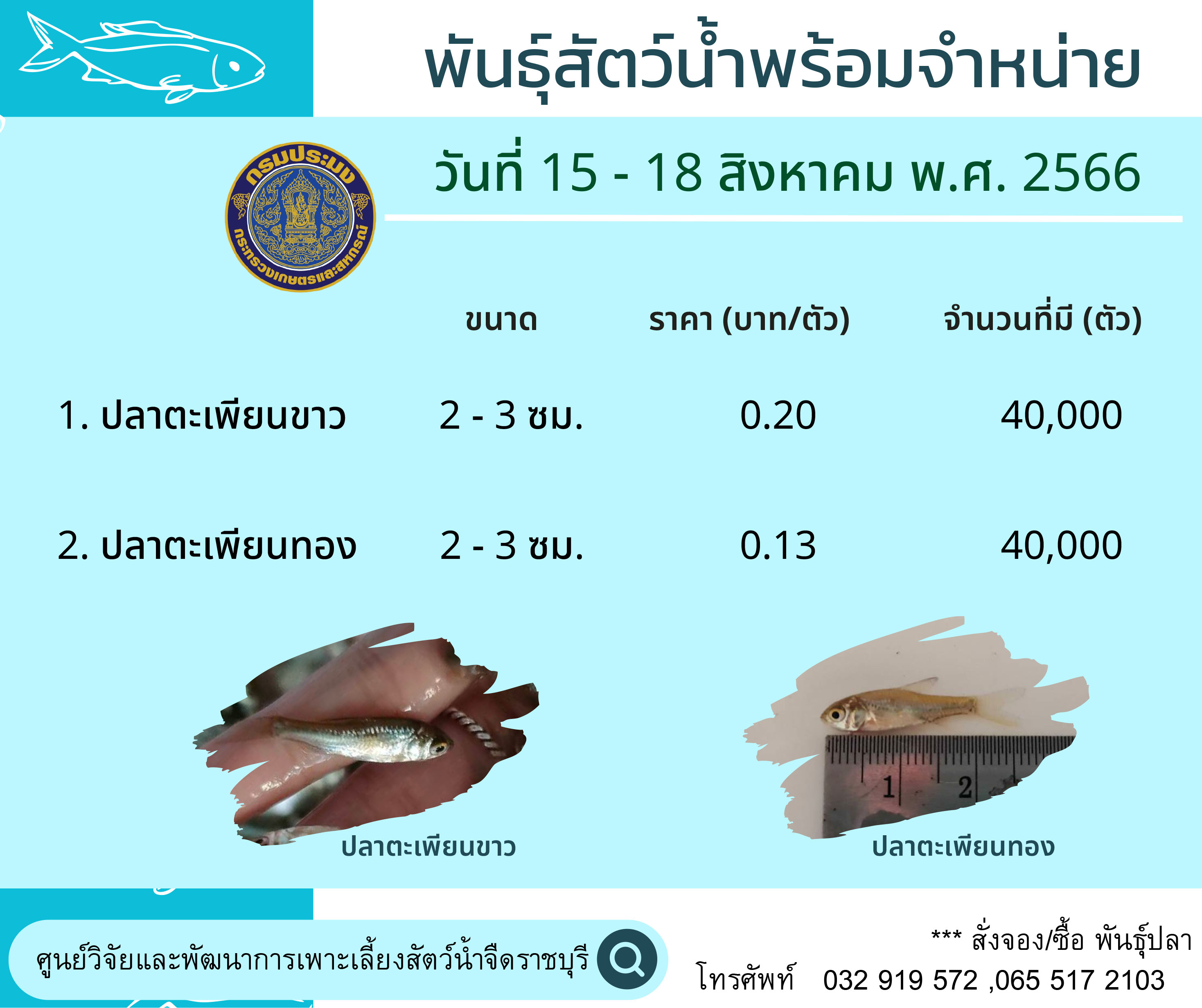 ลูกพันธุ์สัตว์น้ำพร้อมจำหน่าย ประจำวันที่ 15 - 18 สิงหาคม พ.ศ. 2566..คลิก