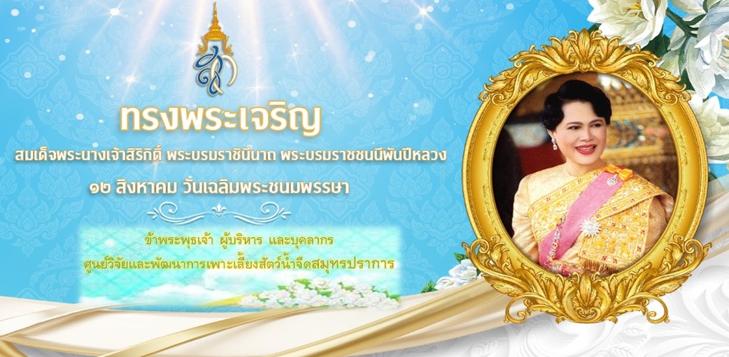 แบนเนอร์