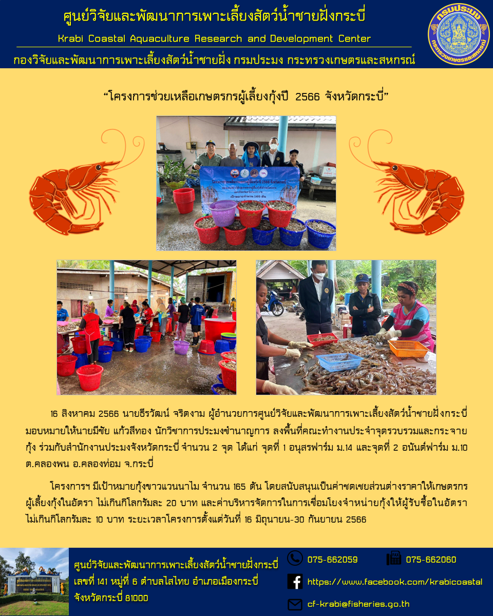 ลงพื้นที่คณะทำงานประจำจุดรวบรวมและกระจายกุ้ง “โครงการช่วยเหลือเกษตรกรผู้เลี้ยงกุ้งปี 2566 จังหวัดกระบี่”..คลิก