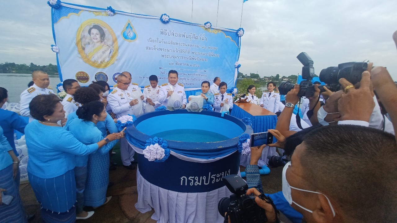 ปล่อยพันธุ์สัตว์น้ำ เฉลิมพระเกียรติถวายเป็นพระราชกุศลแด่ สมเด็จพระนางเจ้าสิริกิติ์ พระบรมราชินีนาถ พระบรมชนนีพันปีหลวง เนื่องในโอกาสวันเฉลิมพระชนมพรรษา ๙๑ พรรษา ๑๒ สิงหาคม ๒๕๖๖..คลิก