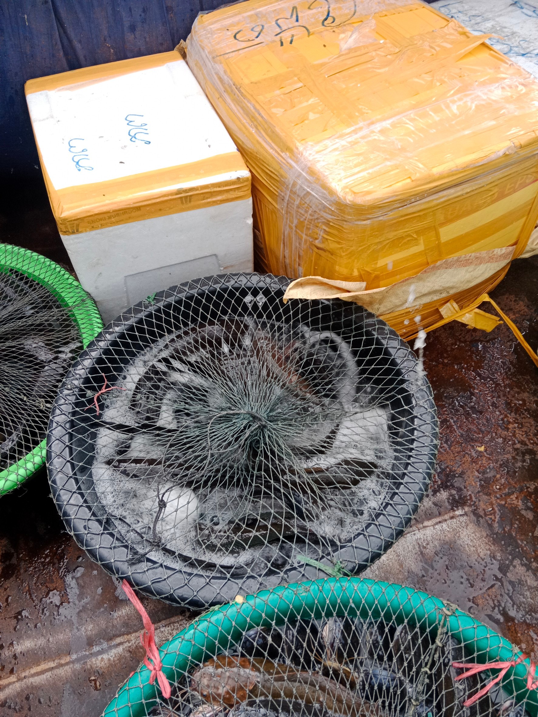 ตรวจสินค้าประมงที่นำเข้า ส่งออก ทางจุดผ่านแดนถาวรบ้านคลองลึก..คลิก
