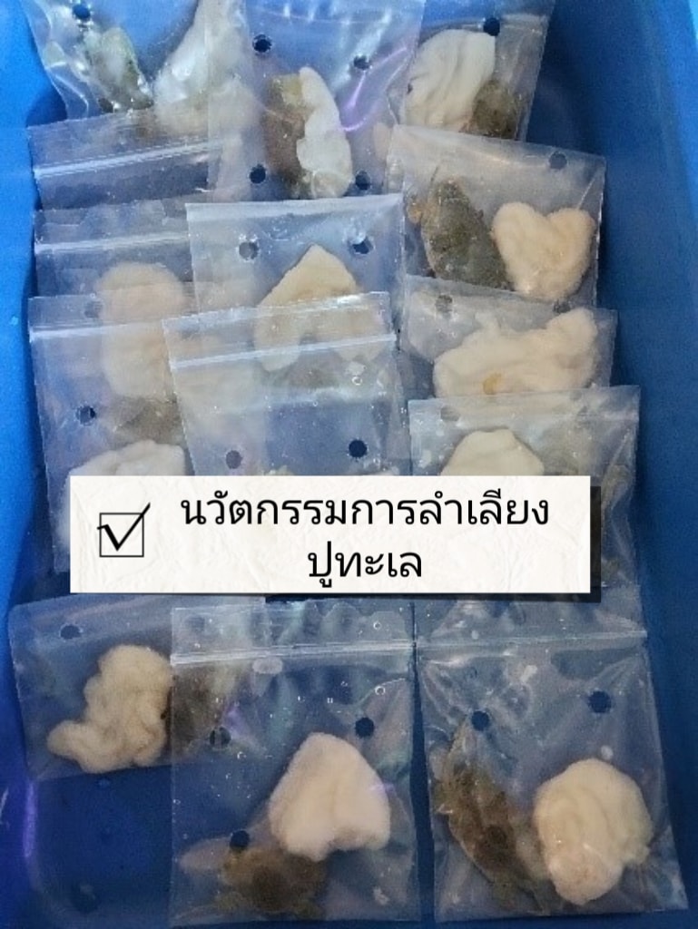 นวัตกรรมการลำเลียงปูทะเลรูปแบบใหม่ ขั้นตอนง่าย ทำตามได้จริง