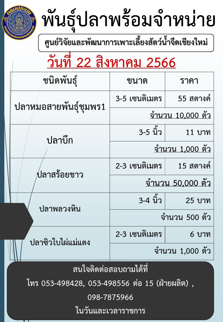 พันธุ์ปลาพร้อมจำหน่าย วันที่ 22 สิงหาคม 2566