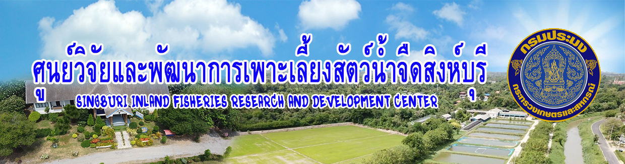 แบนเนอร์