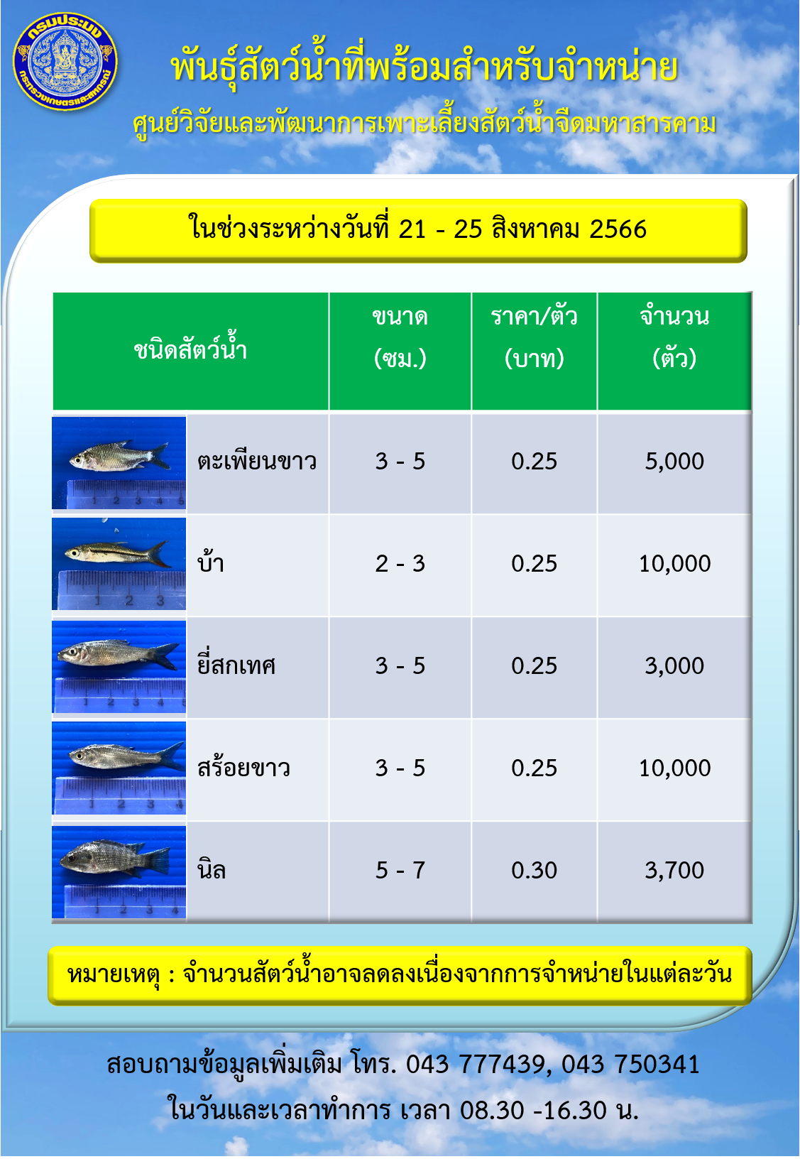 พันธุ์สัตว์น้ำที่พร้อมสำหรับจำหน่าย ระหว่างวันที่ 21 – 25 สิงหาคม 2566..คลิก