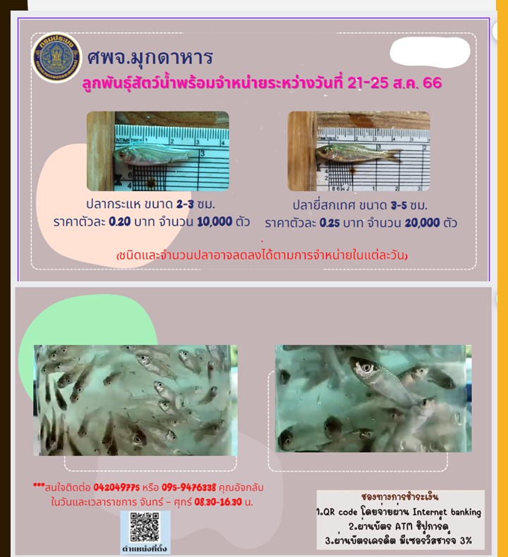 ลูกพันธุ์สัตว์น้ำที่พร้อมจำหน่าย ระหว่างวันที่ 21-25 สิงหาคม 2566..คลิก