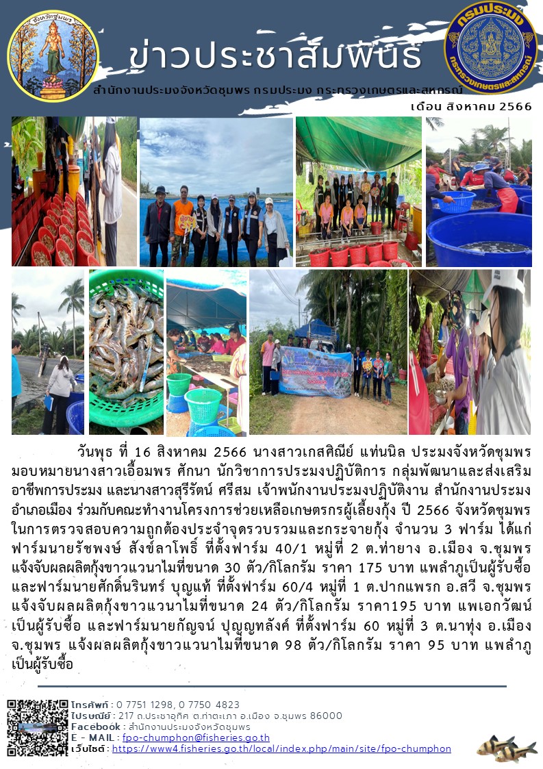 ร่วมกับคณะทำงานโครงการช่วยเหลือเกษตรกรผู้เลี้ยงกุ้ง ปี 2566 จังหวัดชุมพร ในการตรวจสอบความถูกต้องประจำจุดรวบรวมและกระจายกุ้ง..คลิก