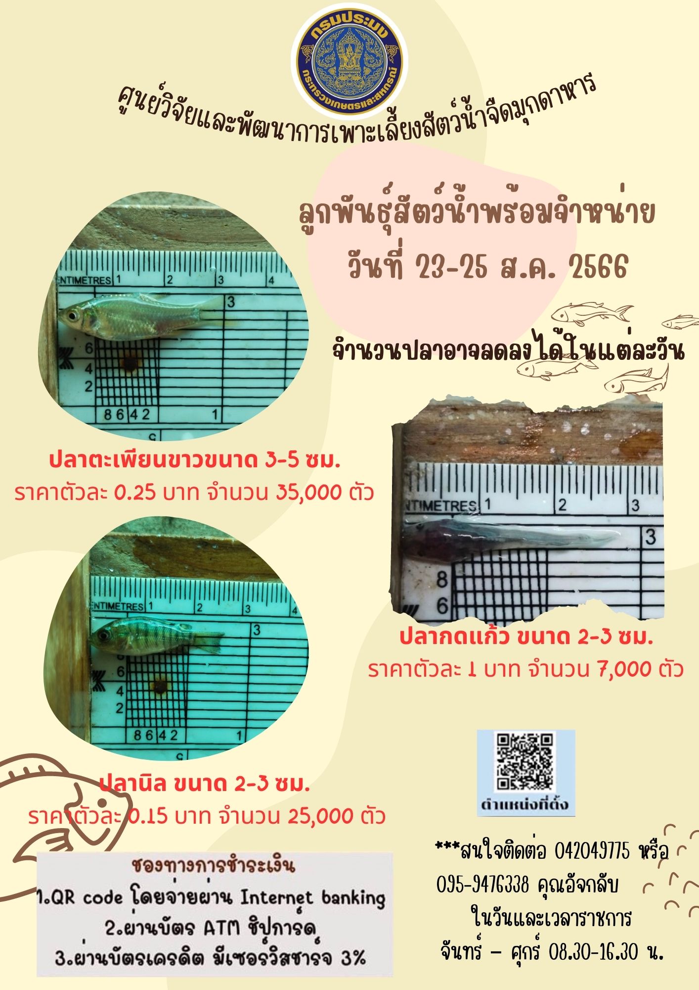 ลูกพันธุ์สัตว์น้ำที่พร้อมจำหน่าย ระหว่างวันที่ 23-25 สิงหาคม 2566..คลิก