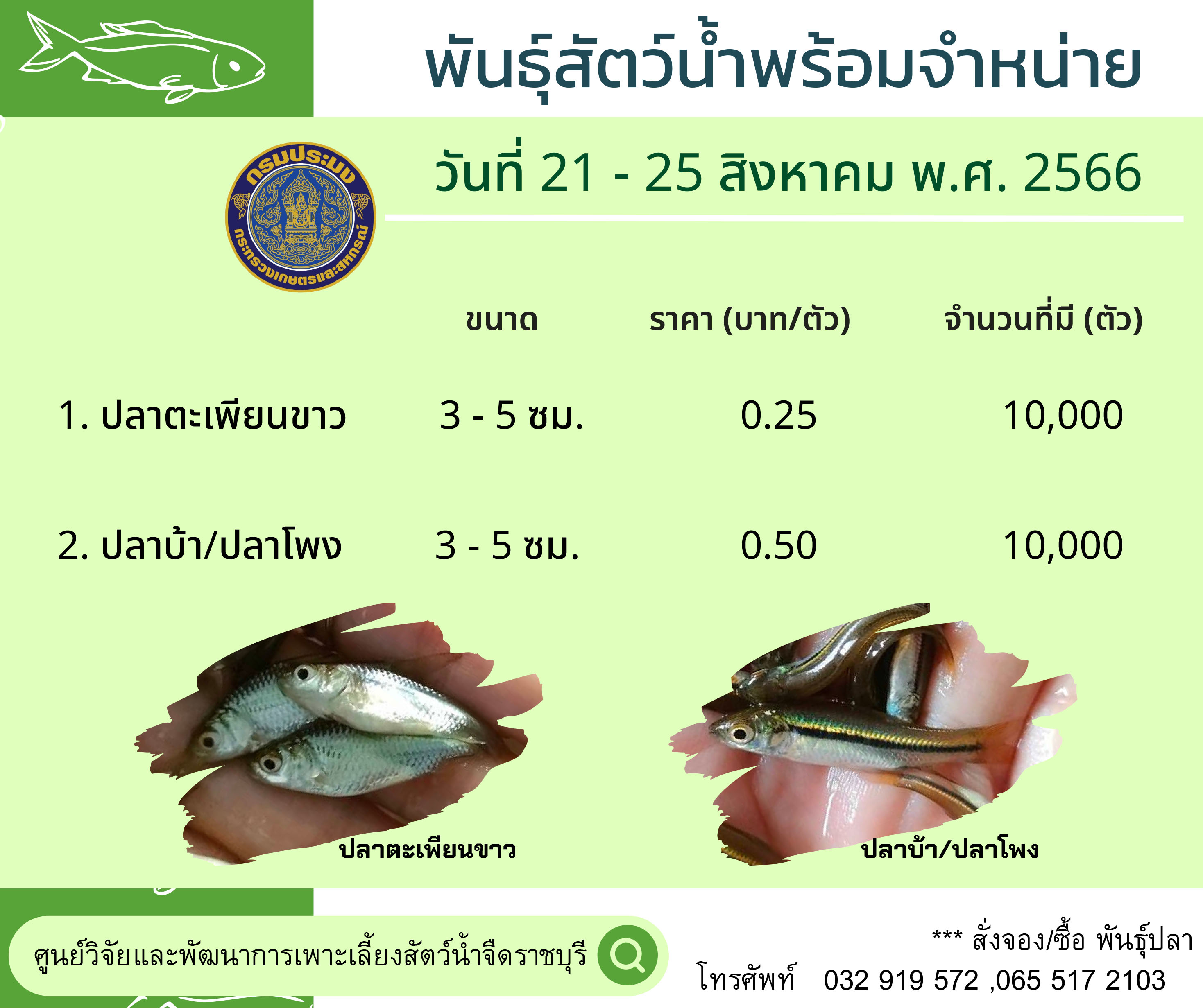 ลูกพันธุ์สัตว์น้ำพร้อมจำหน่าย ประจำวันที่ 21 - 25 สิงหาคม พ.ศ. 2566..คลิก