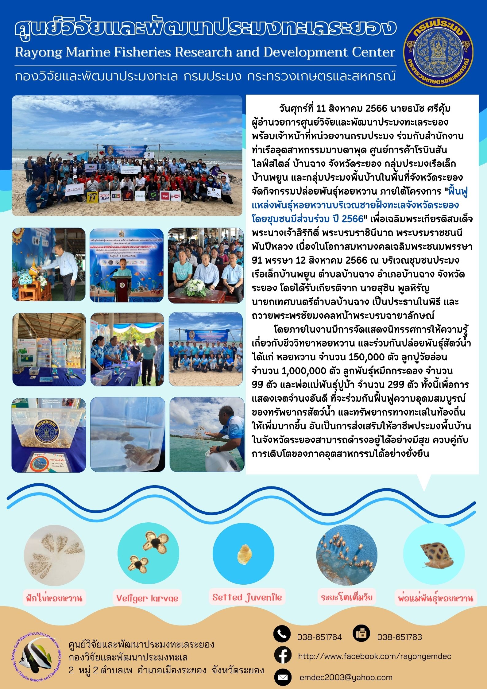 วันศุกร์ที่ 11 สิงหาคม 2566 นายธนัช ศรีคุ้ม ผู้อำนวยการศูนย์วิจัยและพัฒนาประมงทะเลระยองพร้อมเจ้าหน้าที่หน่วยงานกรมประมง ร่วมกับสำนักงานท่าเรืออุตสาหกรรมมาบตามุด ศูนย์การค้าโรบินสัน ไลฟ์สไตล์ บ้านฉาง จังหวัดระยอง กลุ่มประมงเรือเล็ก บ้านพะยูน กลุ่มประมงพื้นบ้านในพื้นที่จังหวัดระยองจัดกิจกรรมปล่อยพันธุ์หอยหวาน ภายใต้โครงการ “ฟื้นฟูแหล่งพันธุ์หอยหวานบริเวณชายฝั่งทะเลจังหวัดระยอง โดยมีขุมชนส่วนร่วม ปี 2566” เพื่อเฉลิมพระเกียรติสมเด็จพระนางเจ้าสิริกิต์ พระบรมราชชนนีพันปีหลวง เนื่องในโอกาสมหามงคลเฉลิมพระชนมพรรษา 91 พรรษา 12 สิงหาคม 2566..คลิก