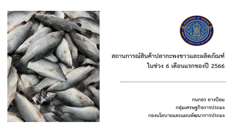 สถานการณ์สินค้าปลากะพงขาวและผลิตภัณฑ์ ในช่วง 6 เดือนแรก ปี 2566