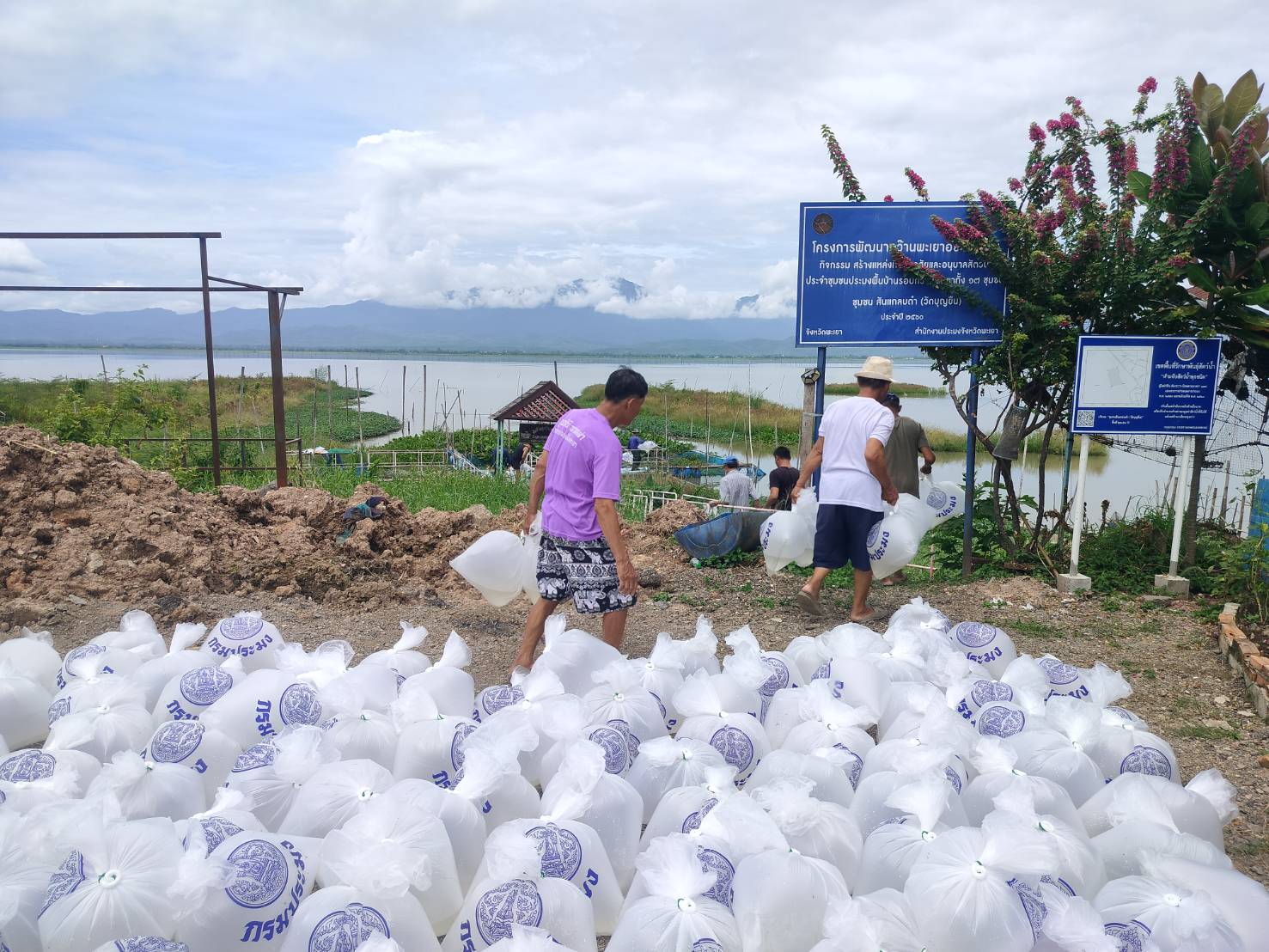 โครงการตามแผนปฏิบัติราชการประจำปีของจังหวัดพะเยา กำหนดปล่อยพันธุ์ปลากาดำ อายุ 2 วัน จำนวน 1,800,000 ตัว