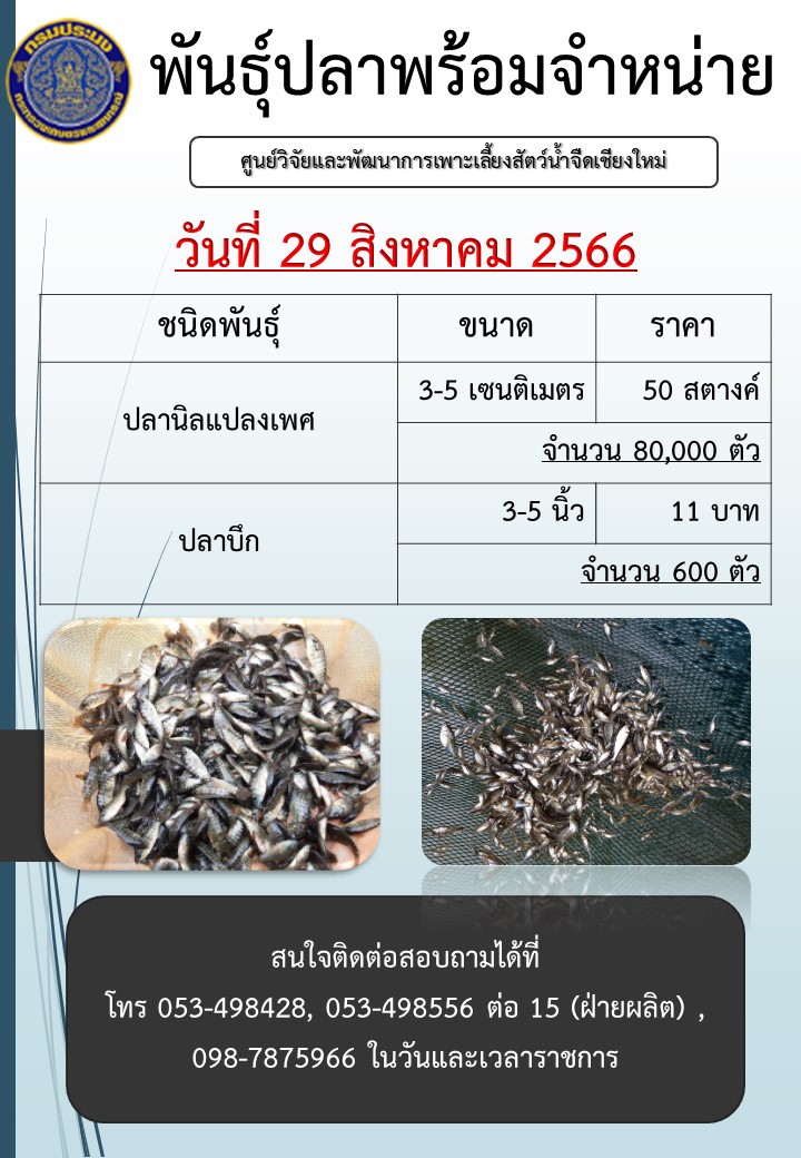 พันธุ์ปลาพร้อมจำหน่าย วันที่ 29 สิงหาคม 2566