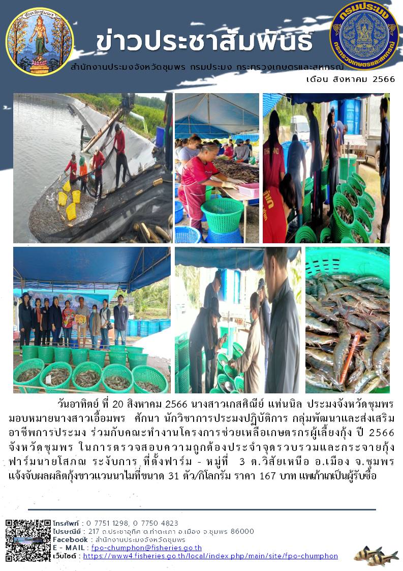 ร่วมกับคณะทำงานโครงการช่วยเหลือเกษตรกรผู้เลี้ยงกุ้ง ปี 2566 จังหวัดชุมพร ในการตรวจสอบความถูกต้องประจำจุดรวบรวมและกระจายกุ้ง..คลิก