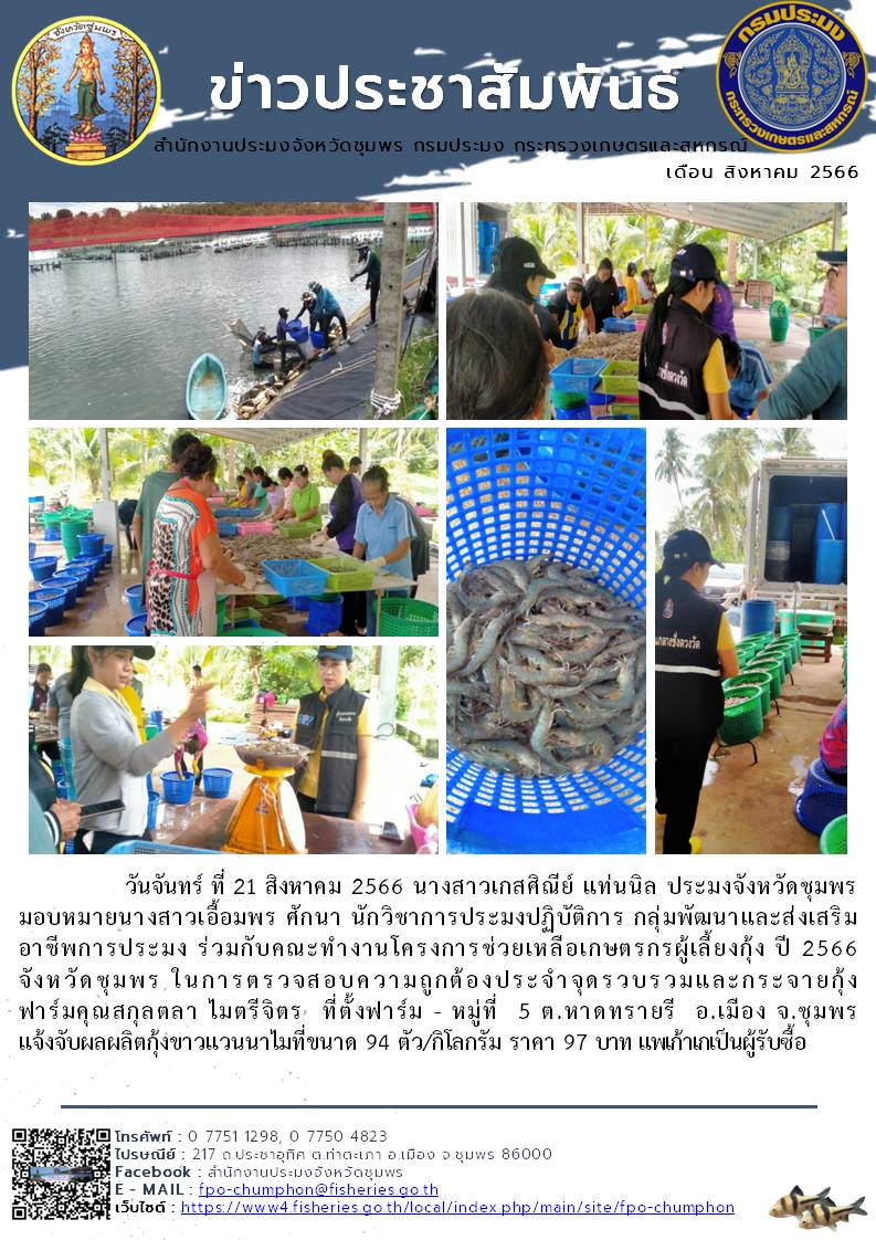 ร่วมกับคณะทำงานโครงการช่วยเหลือเกษตรกรผู้เลี้ยงกุ้ง ปี 2566 จังหวัดชุมพร ในการตรวจสอบความถูกต้องประจำจุดรวบรวมและกระจายกุ้ง..คลิก