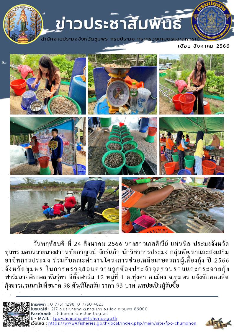 ร่วมกับคณะทำงานโครงการช่วยเหลือเกษตรกรผู้เลี้ยงกุ้ง ปี 2566 จังหวัดชุมพร ในการตรวจสอบความถูกต้องประจำจุดรวบรวมและกระจายกุ้ง..คลิก