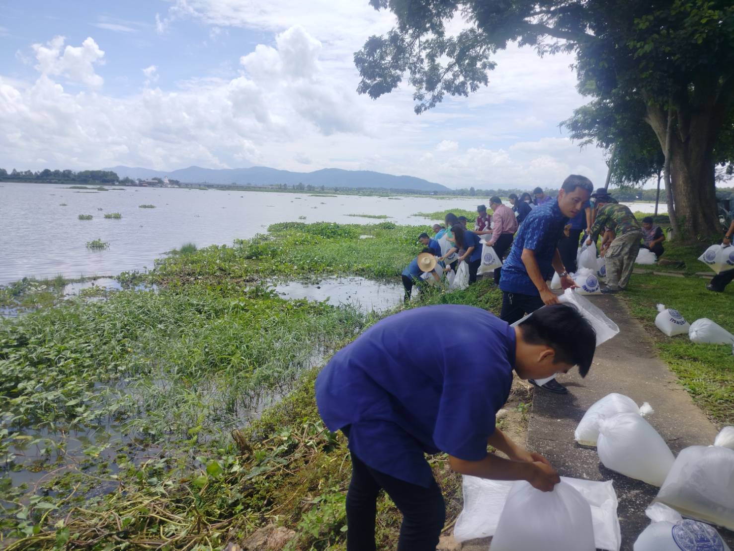 กำหนดปล่อยพันธุ์สัตว์น้ำตามโครงการปล่อยพันธุ์ปลาเพื่อรักษาระบบนิเวศในอ่างเก็บน้ำของกรมชลประทาน ปีงบประมาณ 2566 จำนวน 640,000 ตัว