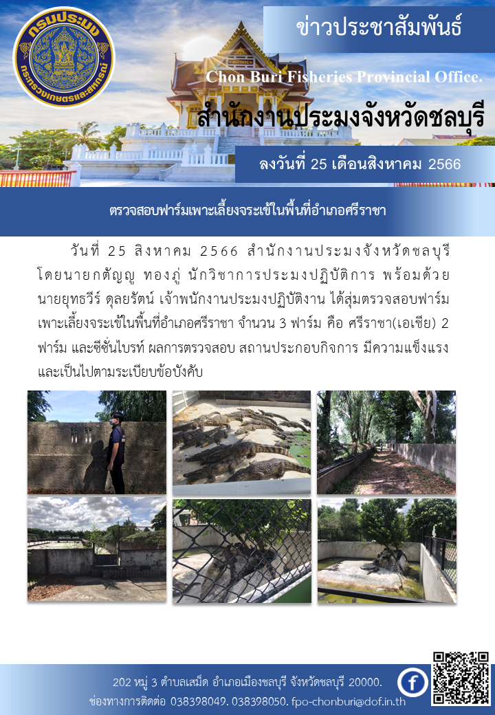 ตรวจสอบฟาร์มเพาะเลี้ยงจระเข้ในพื้นที่อำเภอศรีราชา..คลิก