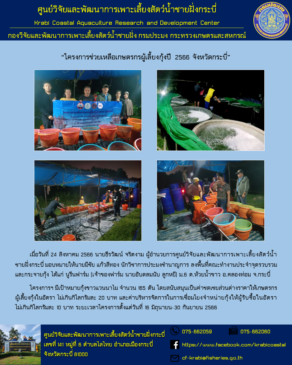 24 สิงหาคม 2566 ลงพื้นที่คณะทำงานประจำจุดรวบรวมและกระจายกุ้ง “โครงการช่วยเหลือเกษตรกรผู้เลี้ยงกุ้งปี 2566 จังหวัดกระบี่”..คลิก