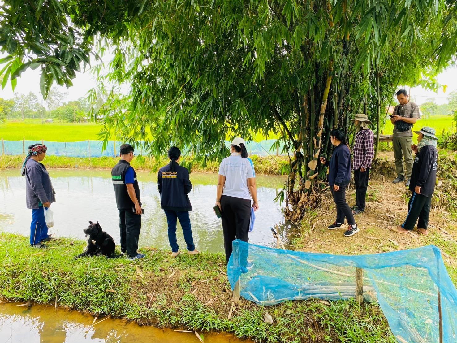 สุ่มออกตรวจติดตามและประเมินผลเกษตรกรที่เข้าร่วมโครงการส่งเสริมเกษตรทฤษฎีใหม่ ปีงบประมาณ 2566..คลิก