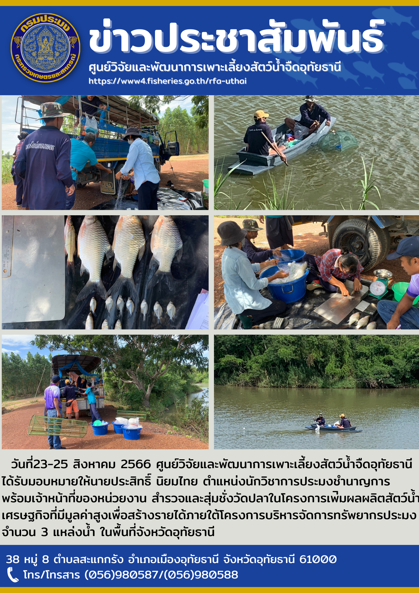 วันที่23-25 สิงหาคม 2566 ศูนย์วิจัยและพัฒนาการเพาะเลี้ยงสัตว์น้ำจืดอุทัยธานี ได้รับมอบหมายให้นายประสิทธิ์ นิยมไทย ตำแหน่งนักวิชาการประมงชำนาญการ พร้อมเจ้าหน้าที่ของหน่วยงาน สำรวจและสุ่มชั่งวัดปลาในโครงการเพ่ิมผลผลิตสัตว์น้ำเศรษฐกิจที่มีมูลค่าสูงเพื่อสร้างรายได้ภายใต้โครงการบริหารจัดการทรัพยากรประมงจำนวน 3 แหล่งน้ำ ในพื้นที่จังหวัดอุทัยธานี