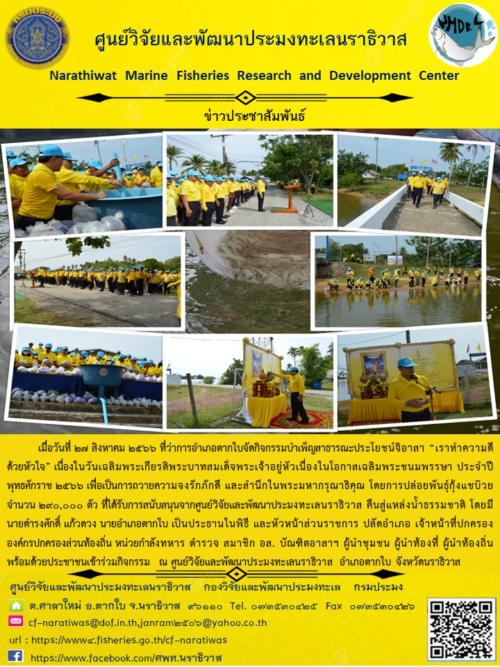 เมื่อวันที่ 27 กรกฎาคม 2566 ที่ว่าการอำเภอตากใบจัดกิจกรรมบำเพ็ญสาธารณะประโยชน์จิตอาสา “เราทำความดี ด้วยหัวใจ” เนื่องในวันเฉลิมพระเกียรติพระบาทสมเด็จพระเจ้าอยู่หัวเนื่องในโอกาสเฉลิมพระชนมพรรษา ประจำปีพุทธศักราช 2566 เพื่อเป็นการถวายความจงรักภัคดี และสำนึกในพระมหากรุณาธิคุณ โดยการปล่อยพันธุ์กุ้งแชบ๊วย จำนวน 290,000 ตัว ที่ได้รับการสนับสนุนจากศูนย์วิจัยแลพัฒนาประมงทะเลนราธิวาส คืนสู่แหล่งน้ำธรรมชาติ โดยมีนายดำรงศักดิ์ แก้วดวง นายอำเภอตากใบ เป็นประธานในพิธีและหัวหน้าส่วนราชการ ปลัดอำเภอ เจ้าหน้าที่ปกครององค์กรปกครองส่วนท้องถิ่น หน่วยกำลังทหาร ตำรวจ สมาชิก อส. บัณฑิตอาสาฯ ผู้นำชุมชน ผู้นำชุมชน ผู้นำท้องที่ ผู้นำท้องถิ่น พร้อมด้วยประชาชนเข้าร่วมกิจกรรม ณ ศูนย์วิจัยและพัฒนาประมงทะเลนราธิวาส อำเภอตากใบ จังหวัดนราธิวาส..คลิก