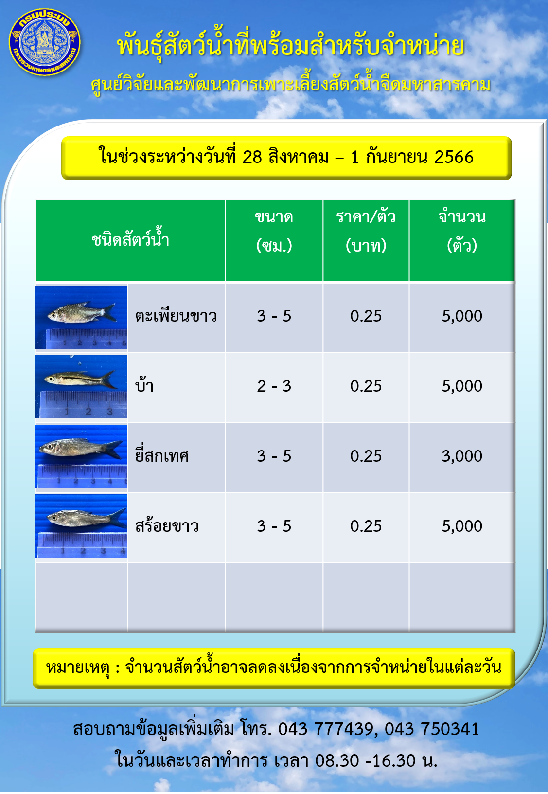 พันธุ์สัตว์น้ำที่พร้อมสำหรับจำหน่าย ระหว่างวันที่ 28 สิงหาคม - 1 กันยายน 2566..คลิก