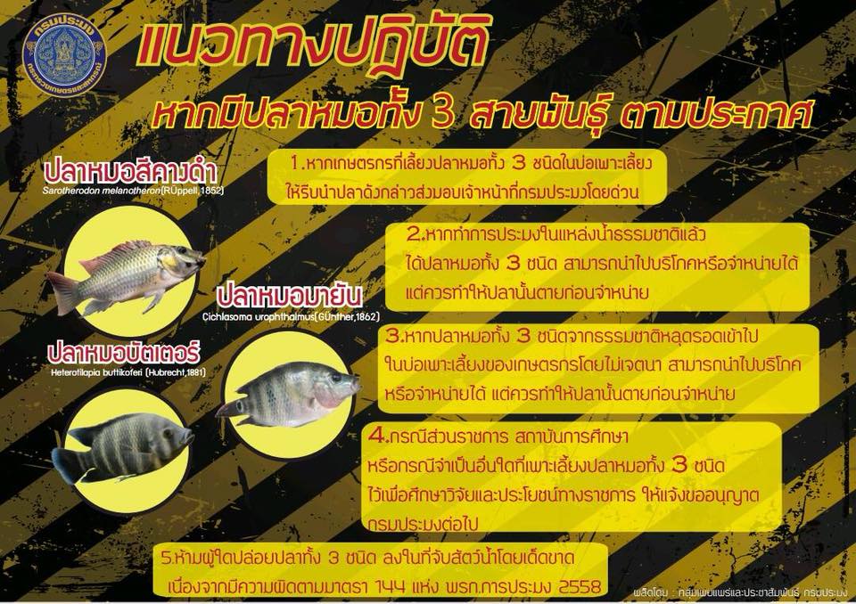 3 สายพันธุ์ปลาต้องห้าม..คลิก