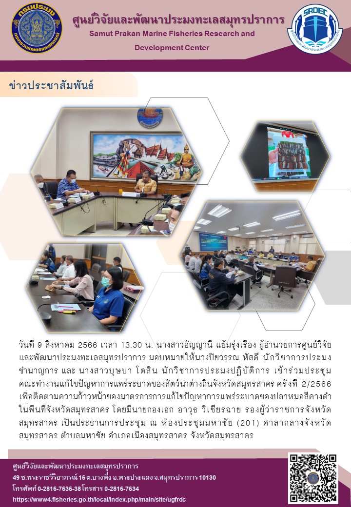 วันที่ 9 สิงหาคม 2566 เวลา 13.30 น. นางสาวอัญญานี แย้มรุ่งเรือง ผู้อำนวยการศูนย์วิจัยและพัฒนาประมงทะเลสมุทรปราการ มอบหมายให้นางปิยวรรณ หัสดี นักวิชาการประมงชำนาญการ และ นางสาวบุษบา โตสิน นักวิชาการประมงปฏิบัติการ เข้าร่วมประชุมคณะทำงานแก้ไขปัญหาการแพร่ระบาดของสัตว์น้ำต่างถิ่นจังหวัดสมุทรสาคร ครั้งที่ 2/2566 เพื่อติดตามความก้าวหน้าของมาตรการการแก้ไขปัญหาการแพร่ระบาดของปลาหมอสีคางดำในพื้นที่จังหวัดสมุทรสาคร โดยมีนายกองเอก อาวุธ วิเชียรฉาย รองผู้ว่าราชการจังหวัดสมุทรสาคร เป็นประธานการประชุม ณ ห้องประชุมมหาชัย (201) ศาลากลางจังหวัดสมุทรสาคน ตำบลมหาชัย อำเภอเมืองสมุทรสาคร จังหวัดสมุทรสาคร..คลิก