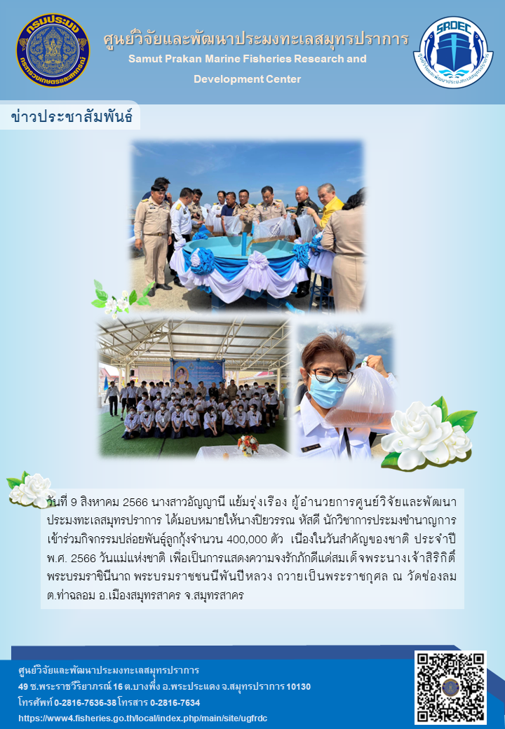 วันที่ 9 สิงหาคม 2566 นางสาวอัญญานี แย้มรุ่งเรือง ผู้อำนวยการศูนย์วิจัยและพัฒนาประมงทะเลสมุทรปราการ ได้มอบหมายให้นางปิยวรรณ หัสดี นักวิชาการประมงชำนาญการเข้าร่วมกิจกรรมปล่อยพันธุ์ลูกกุ้งจำนวย 400,000 ตัว เนื่องในวันสำคัญของชาติ ประจำปี พ.ศ. 2566 วันแม่แห่งชาติ เพื่อเป็นการแสดงความจงรักภัคดีแด่สมเด็จพระนางเจ้าสิริกิติ์พระบรมราชินีนาถ พระบรมราชชนนีพันปีหลวง ถวายเป็นพระราชกุศล ณ วัดช้องลม ต.ท่าฉลอม อ.เมืองสมุทรสาคร จ.สมุทรสาคร..คลิก