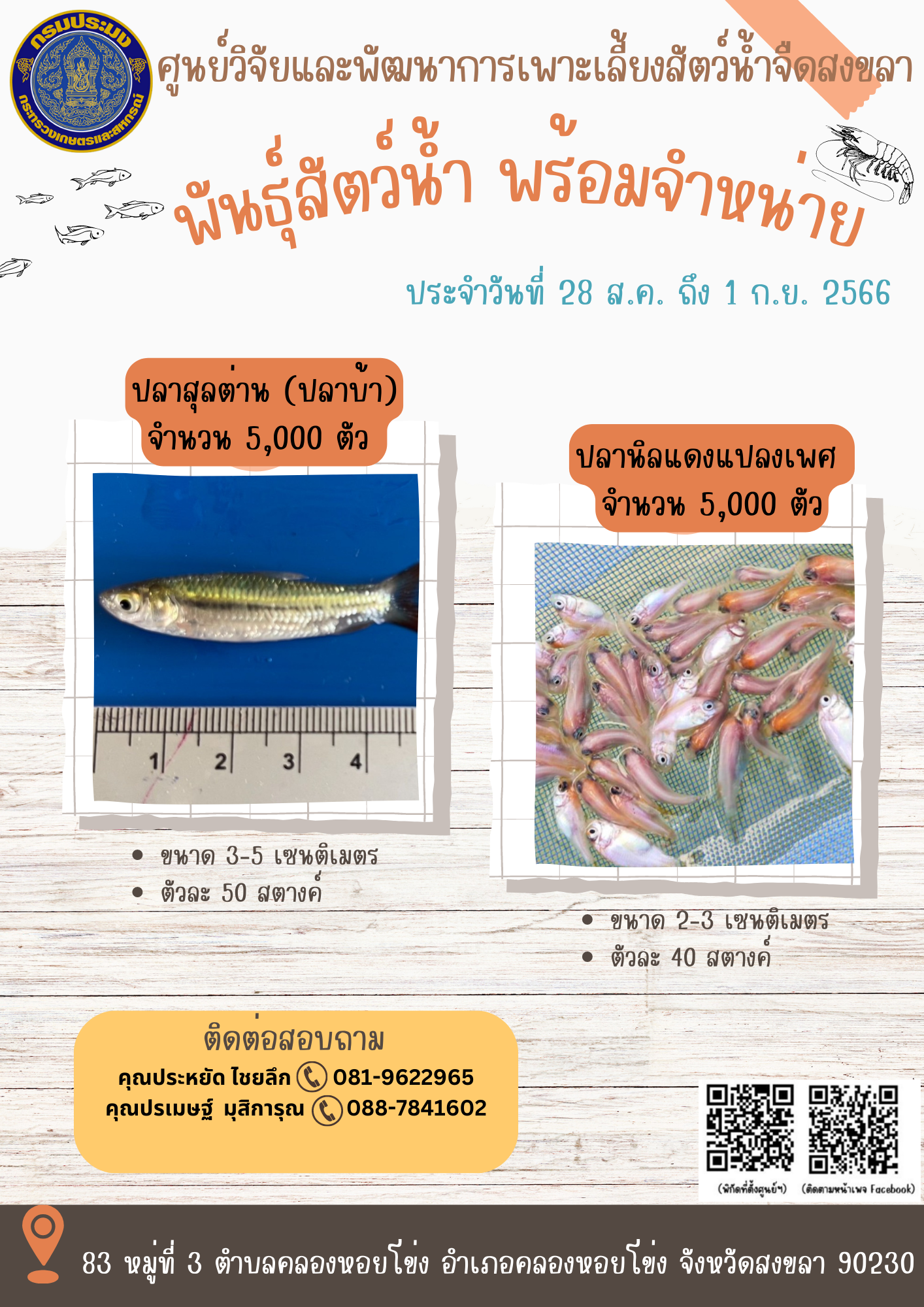 พัันธุ์สัตว์น้ำพร้อมจำหน่าย