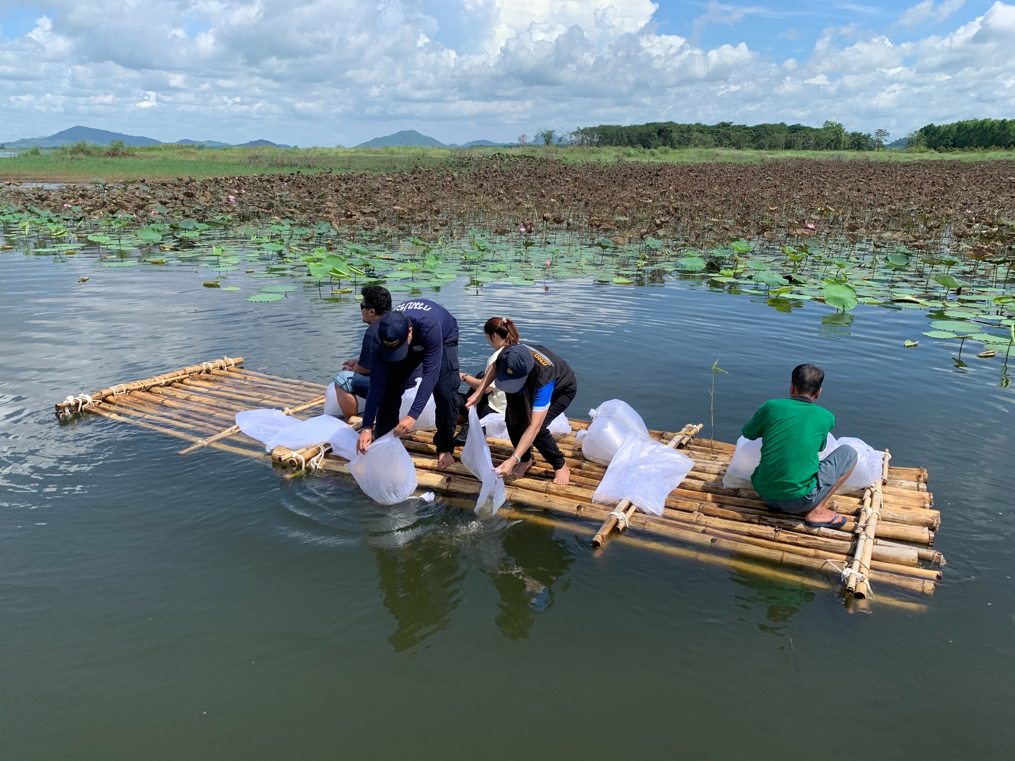 ปล่อยพันธุ์สัตว์น้ำและล่องแพเชิงอนุรักษ์..คลิก