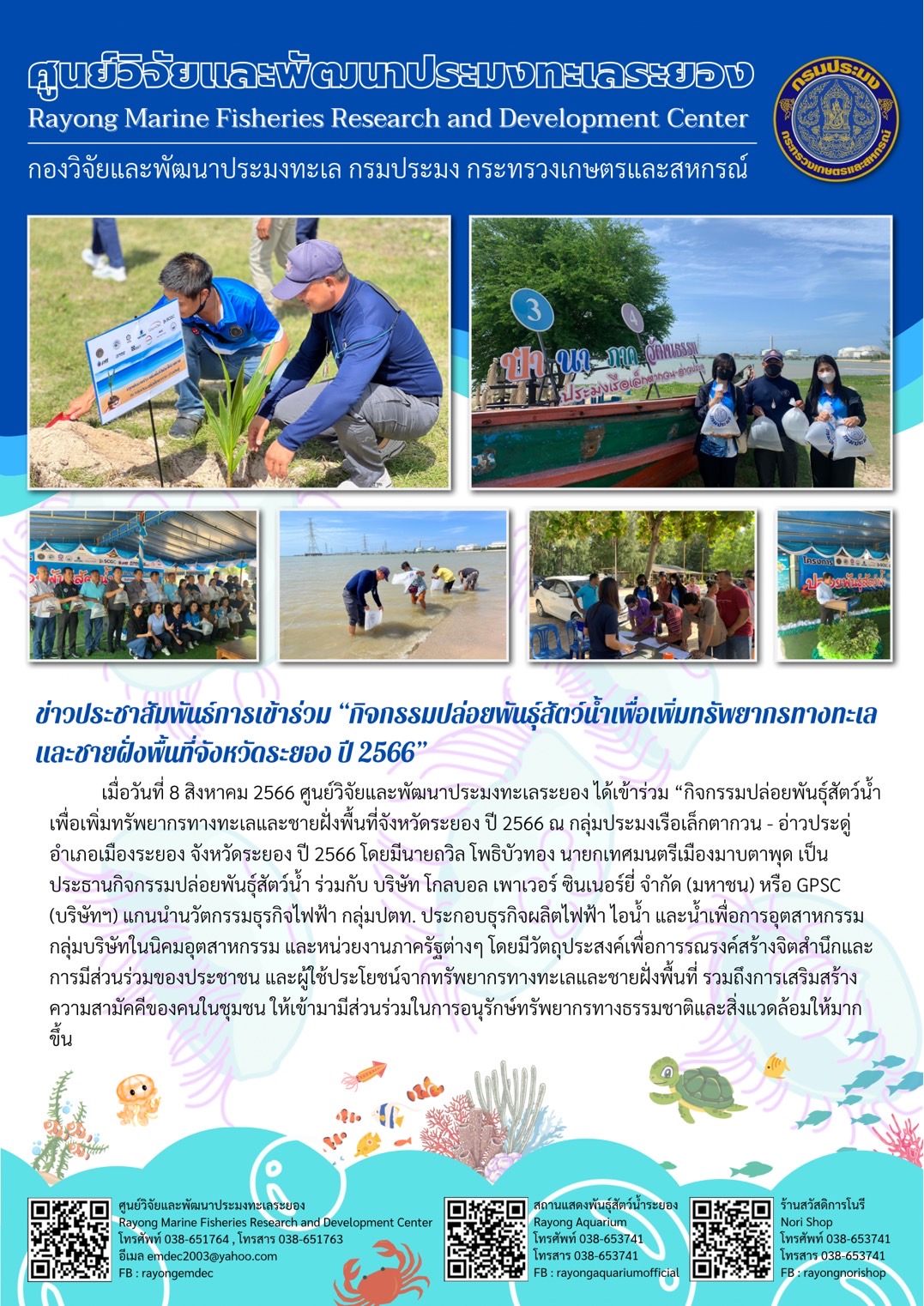 เมื่อวันที่ 8 สิงหาคม 2566 ศูนย์วิจัยและพัฒนาประมงทะเลระยอง ได้เข้าร่วม “กิจกรรมปล่อยพันธุ์สัตว์น้ำเพื่อเพิ่มทรัพยากรทางทะเลและชายฝั่งพื้นที่จังหวัดระยอง ปี 2566” ณ กลุ่มประมงเรือเล็กตาอวน-อ่าวประดู่ อำเภอเมืองระยอง จังหวัดระยอง ปี 2566 โดยมีนายถวิล โพธิบัวทอง นายกเทศมนตรีเมืองมาบตาพุด เป็นประธานกิจกรรมปล่อยพันธุ์สัตว์น้ำ ร่วมกับ บริษัท โกลบอล เพาเวอร์ ซินเนอร์ยี่ จำกัด (มหาชน) หรือ GPSC (บริษัทฯ) แกนนำนวัตกรรมธุรกิจไฟฟ้า กลุ่มปตท. ประกอบธุรกิจผลิตไฟฟ้า ไอน้ำ และน้ำเพื่อการอุตสาหกรรมกลุ่มในบริษัทในนิคมอุตสาหกรรม และหน่วยงานภาครัฐต่างๆ โดยมีวัตถุประสงค์เพื่อการรณรงค์สร้างจิตสำนึกและการมีส่วนร่วมของประชน และผู้ใช้ประโยชน์จากทรัพยากรทางทะเลและพื้นที่ชายฝั่งพื้นที่ รวมถึงการเสริมสร้างความสามัคคีของคนในชุมชน ให้เข้ามามีส่วนร่วมในการอนุรักษ์ทรัพยากรทางธรรมชาติและสิงแวดล้อมให้มากขึ้น..คลิก