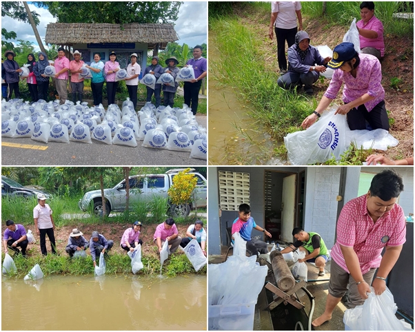 ผลการปฏิบัติงานประจำวันอังคารที่ 29 สิงหาคม 2566