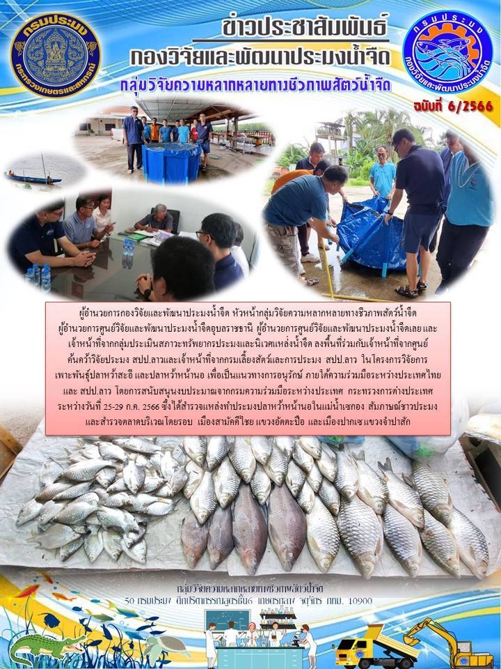 ผู้อำนวยการกองวิจัยและพัฒนาประมงน้ำจืด หัวหน้ากลุ่มวิจัยความหลากหลายทางชีวภาพสัตว์น้ำจืด  ผู้อำนวยการศูนย์วิจัยและพัฒนาประมงน้ำจืดอุบลราชธานี ผู้อำนวยการศูนย์วิจัยและพัฒนาประมงน้ำจืดเลย และเจ้าหน้าที่จากกลุ่มประเมินสภาวะทรัพยากรประมงและนิเวศแหล่่งน้ำจืด ลงพื้นที่ร่วมกับเจ้าหน้าที่จากศูนย์ค้นคว้าวิจัยประมง สปป.ลาวและเจ้าหน้าที่จากกรมเลี้ยงสัตว์และการประมง สปป.ลาว ในโครงการวิจัยการเพาะพันธุ์ปลาหว้าสะอี และปลาหว้าหน้านอ..คลิก