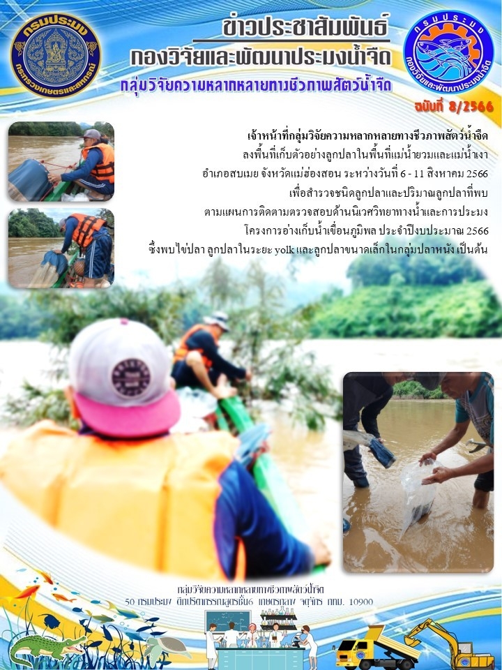 เจ้าหน้าที่กลุ่มวิจัยความหลากหลายทางชีวภาพสัตว์น้ำจืด ลงพื้นที่เก็บตัวอย่างลูกปลาในพื้นที่แม่น้ำยวมและแม่น้ำเงา อำเภอสบเมย จังหวัดแม่ฮ่องสอน..คลิก